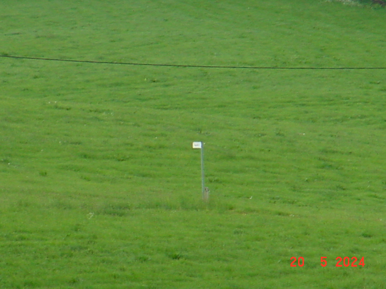 DSC00069.JPG