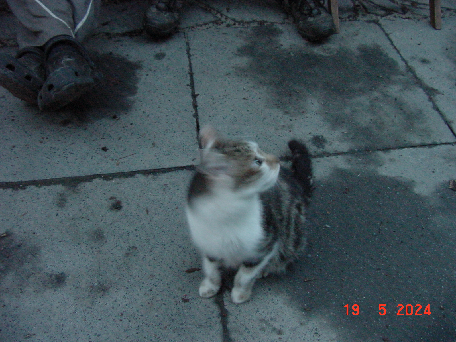 DSC00011.JPG