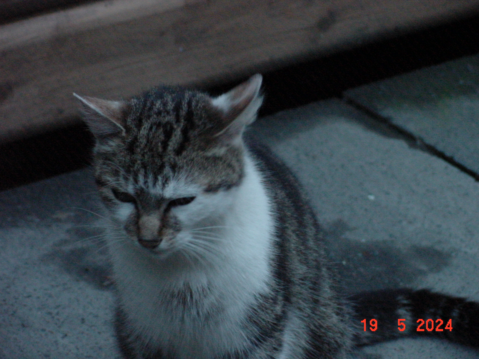 DSC00016.JPG