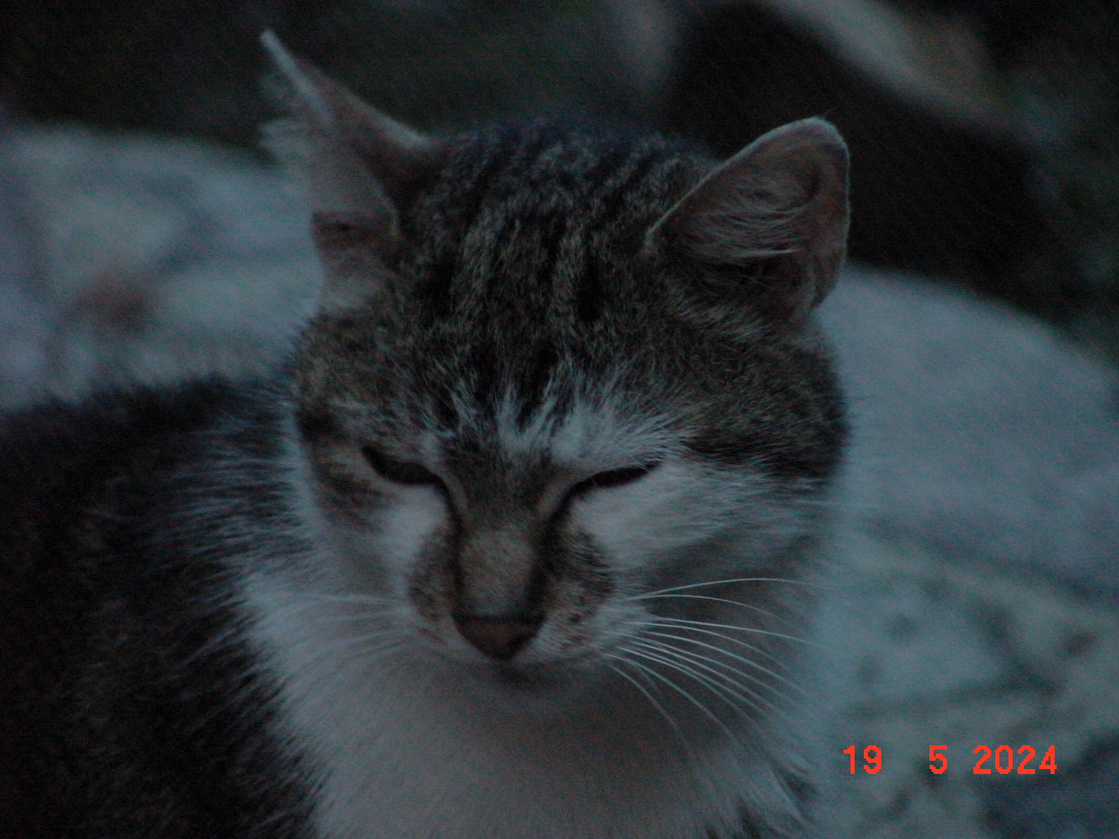 DSC00025.JPG