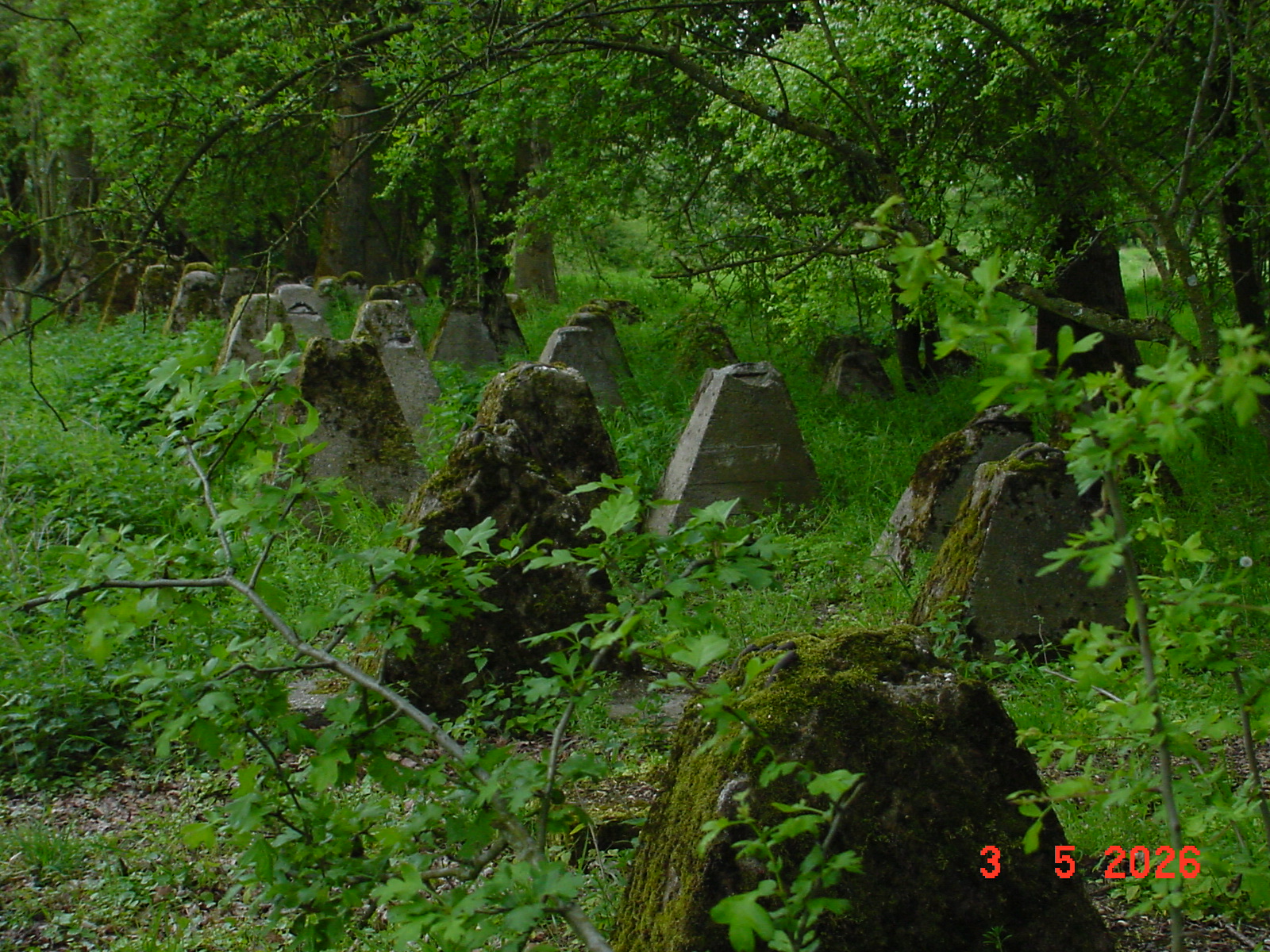 DSC00354.JPG
