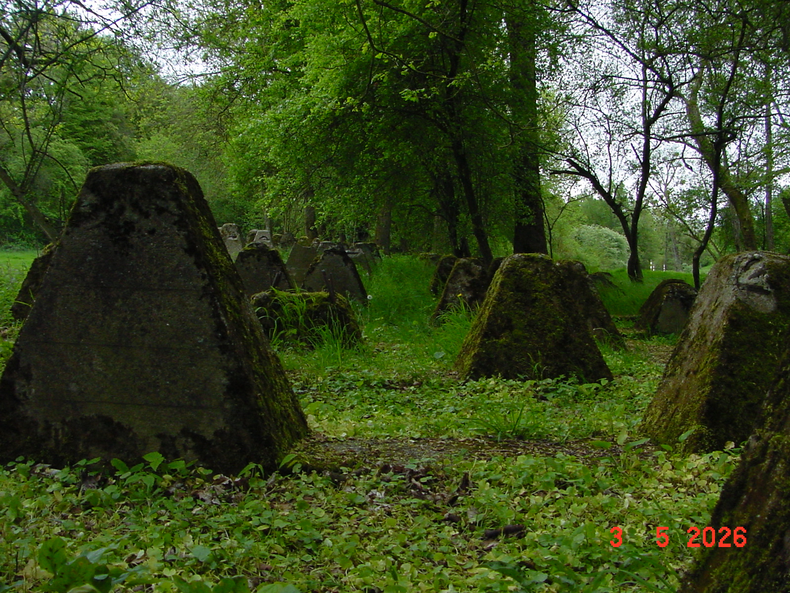 DSC00355.JPG