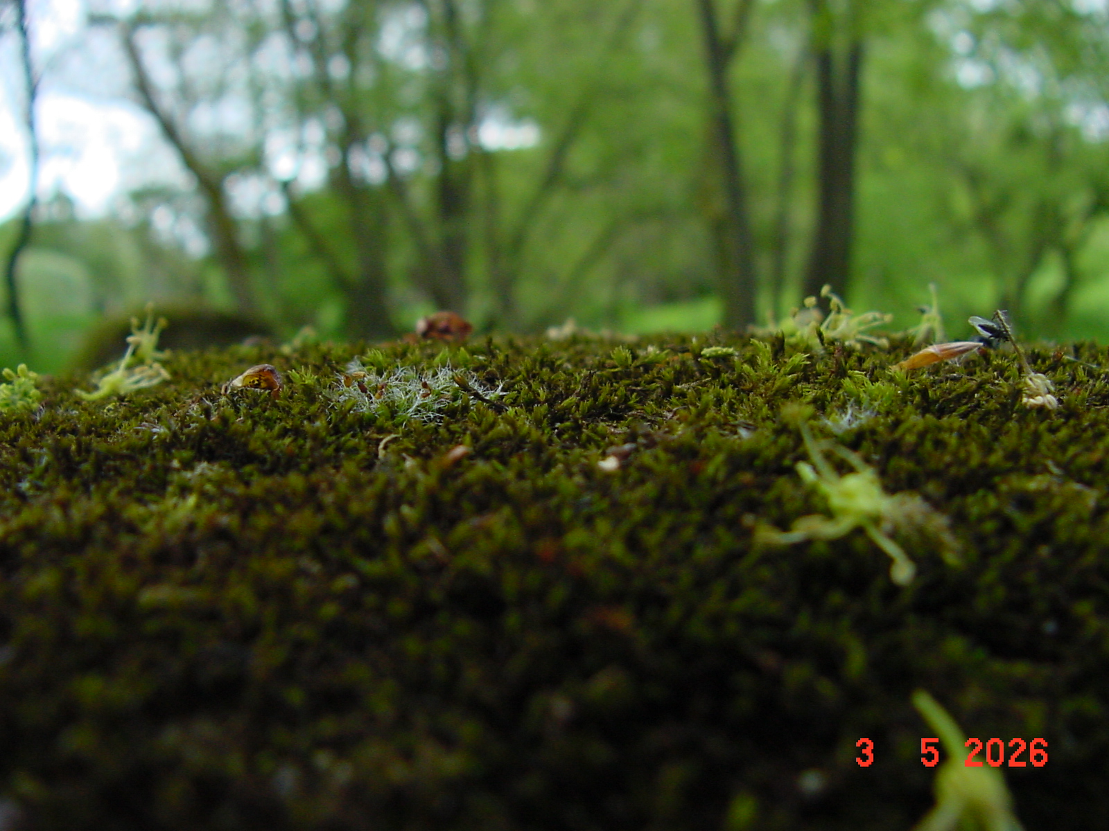 DSC00357.JPG