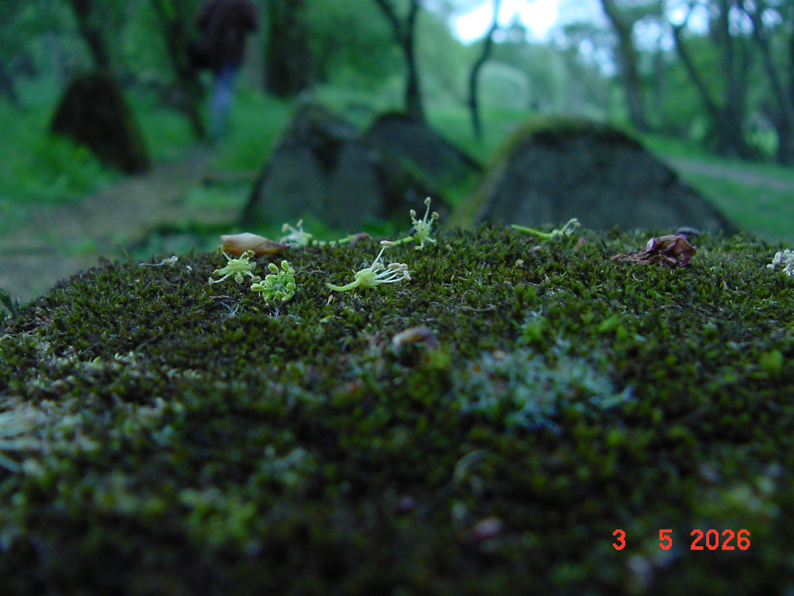 DSC00358.JPG