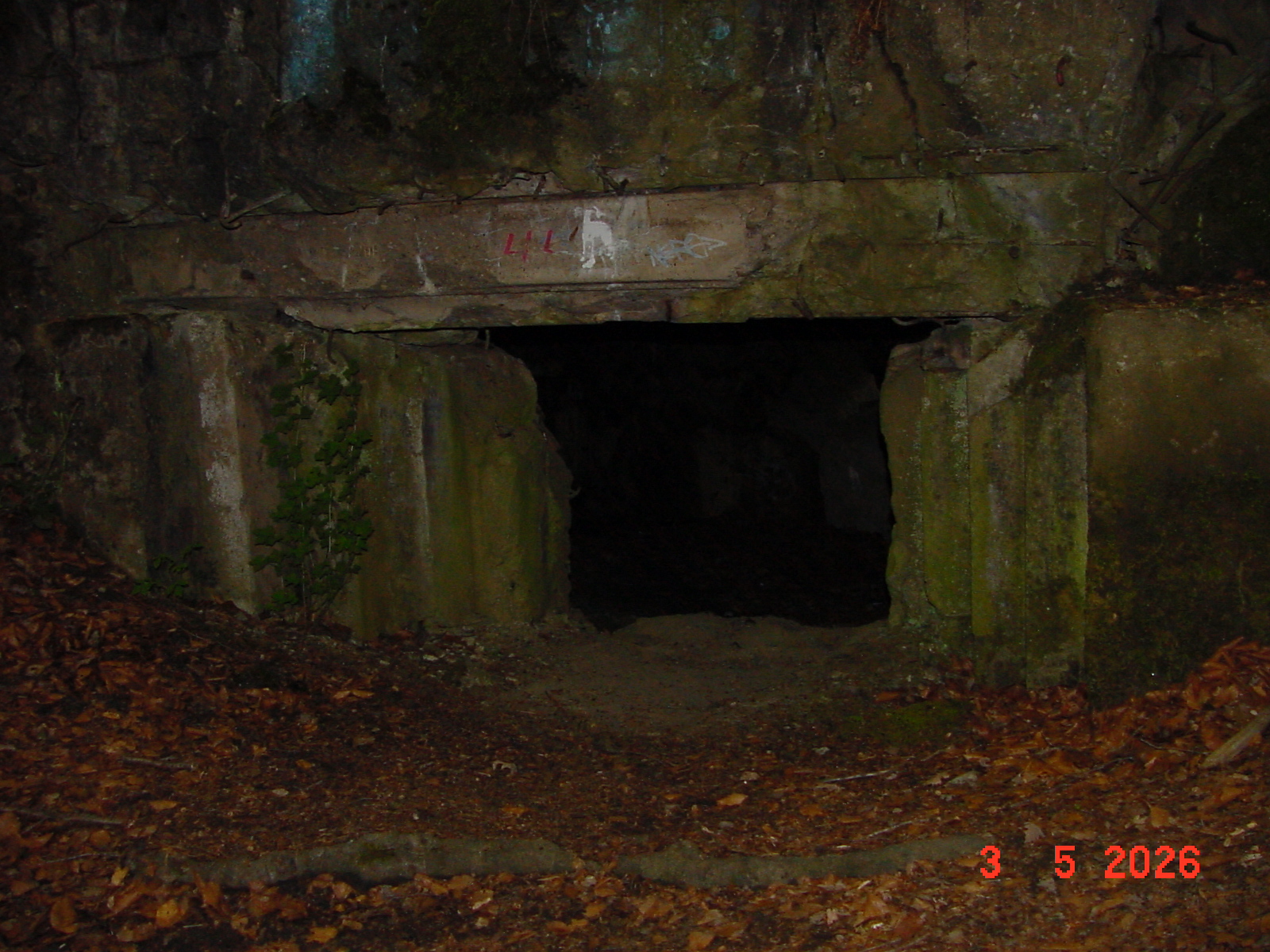 DSC00368.JPG