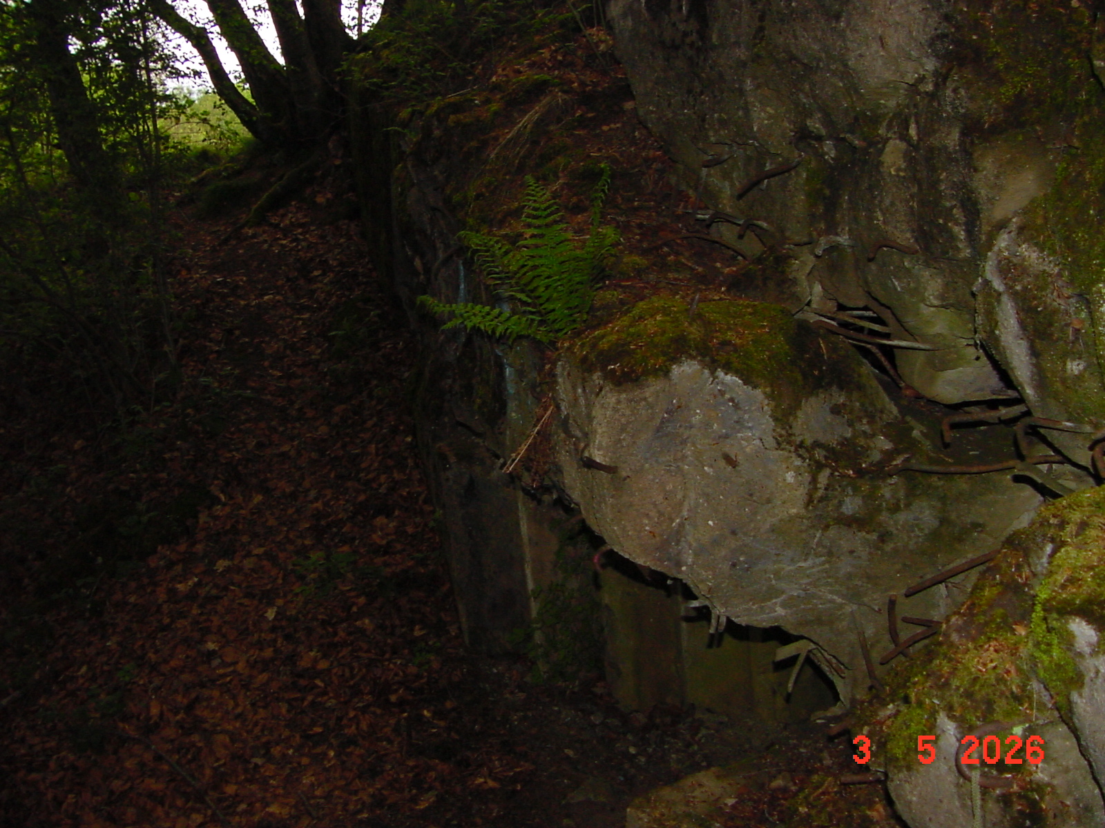 DSC00370.JPG