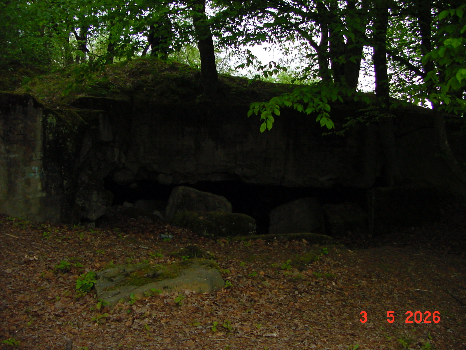 DSC00372.JPG
