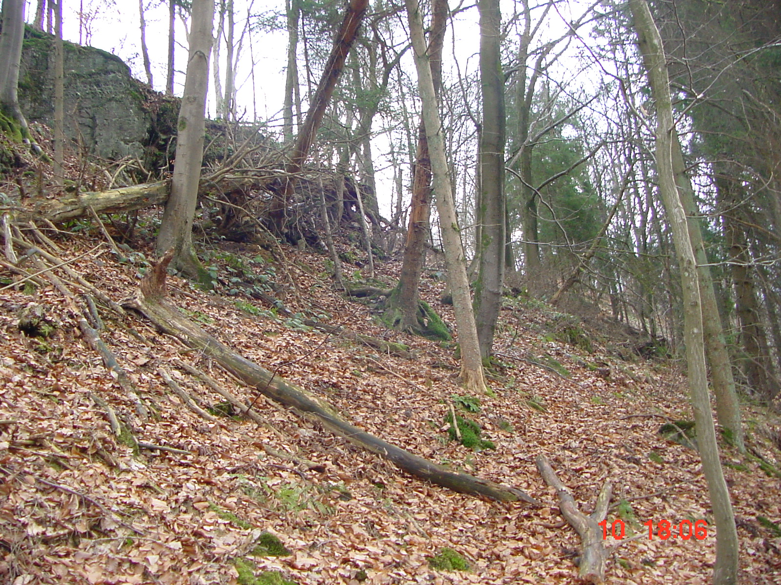 DSC00046.JPG
