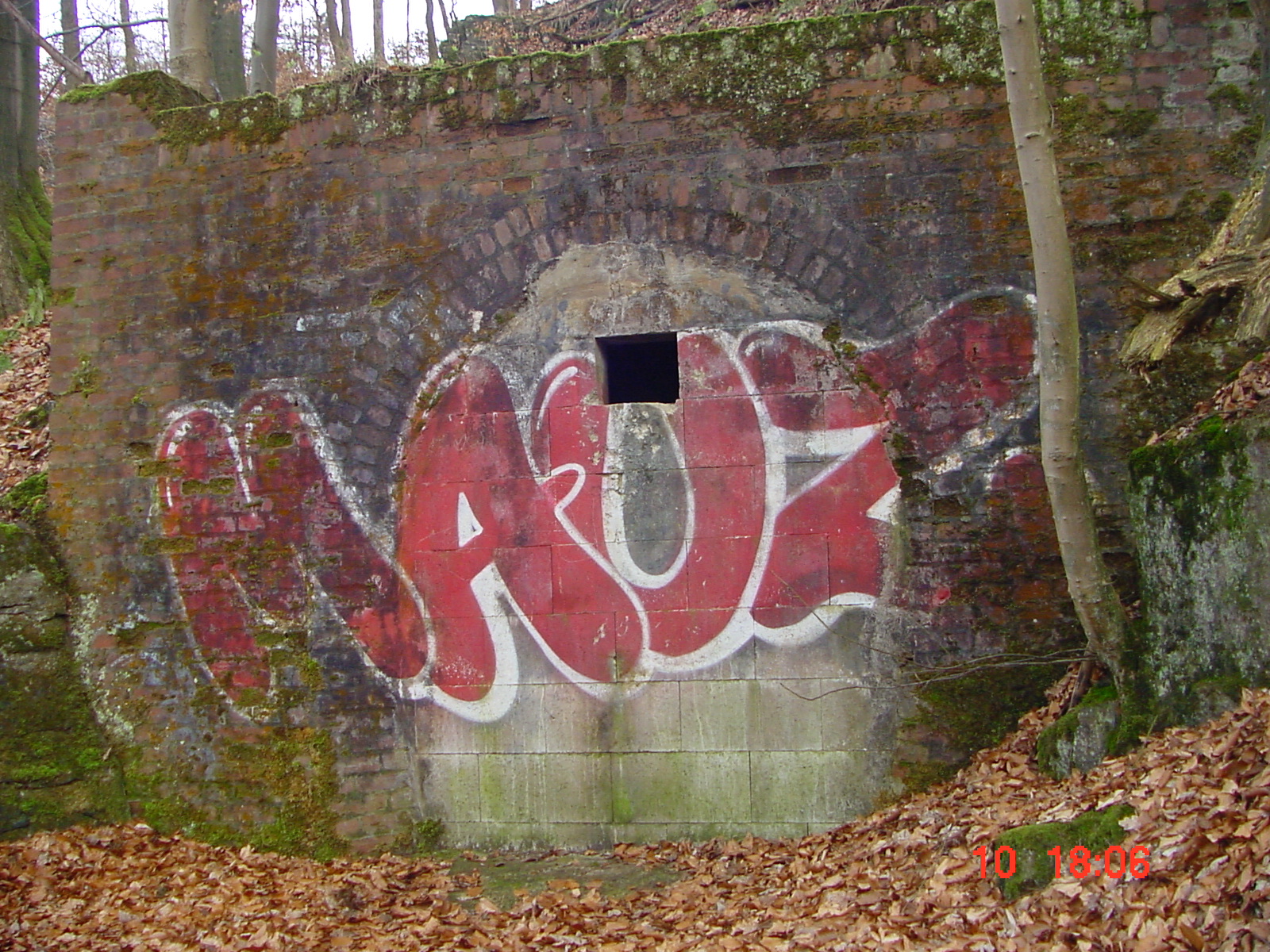 DSC00047.JPG