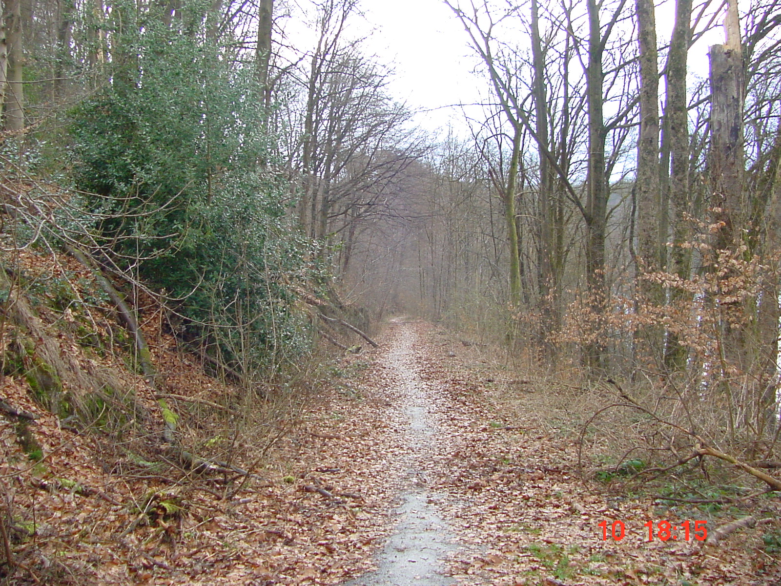 DSC00048.JPG