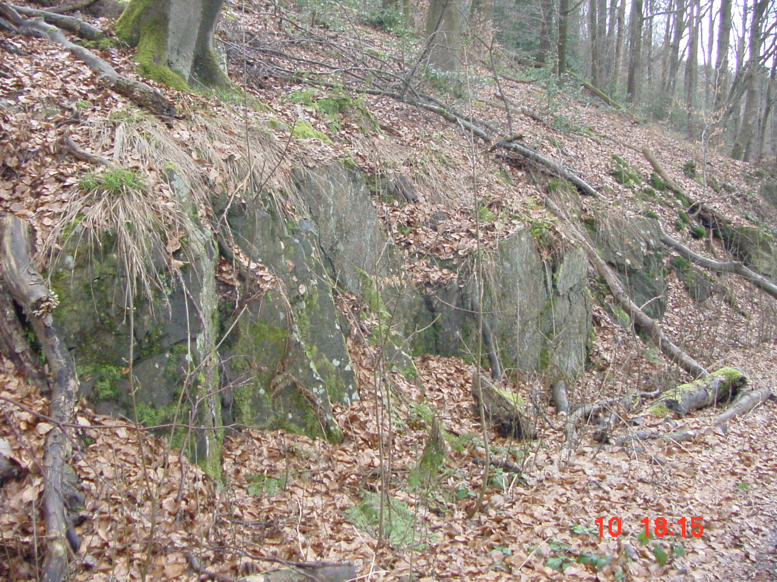 DSC00049.JPG