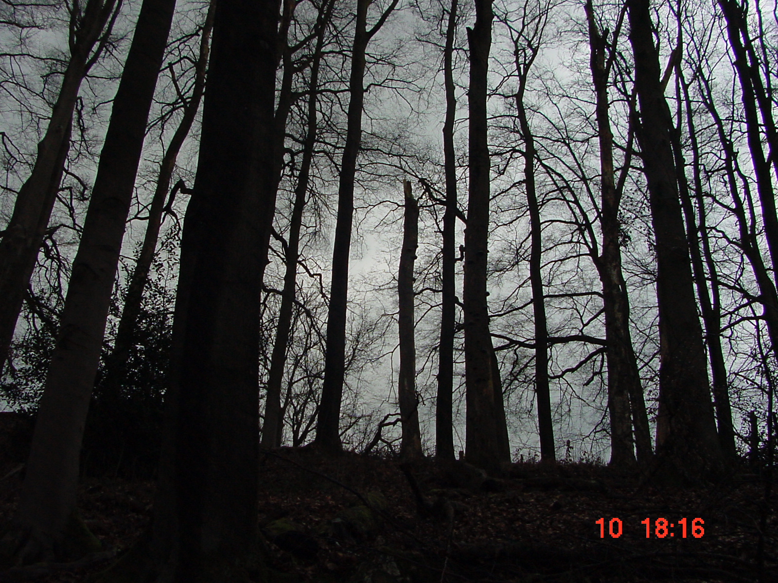 DSC00050.JPG