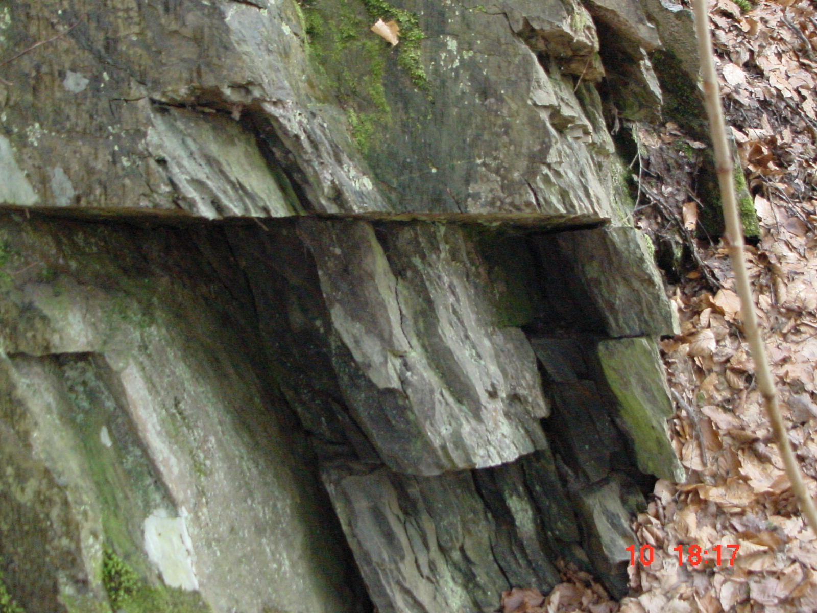 DSC00053.JPG