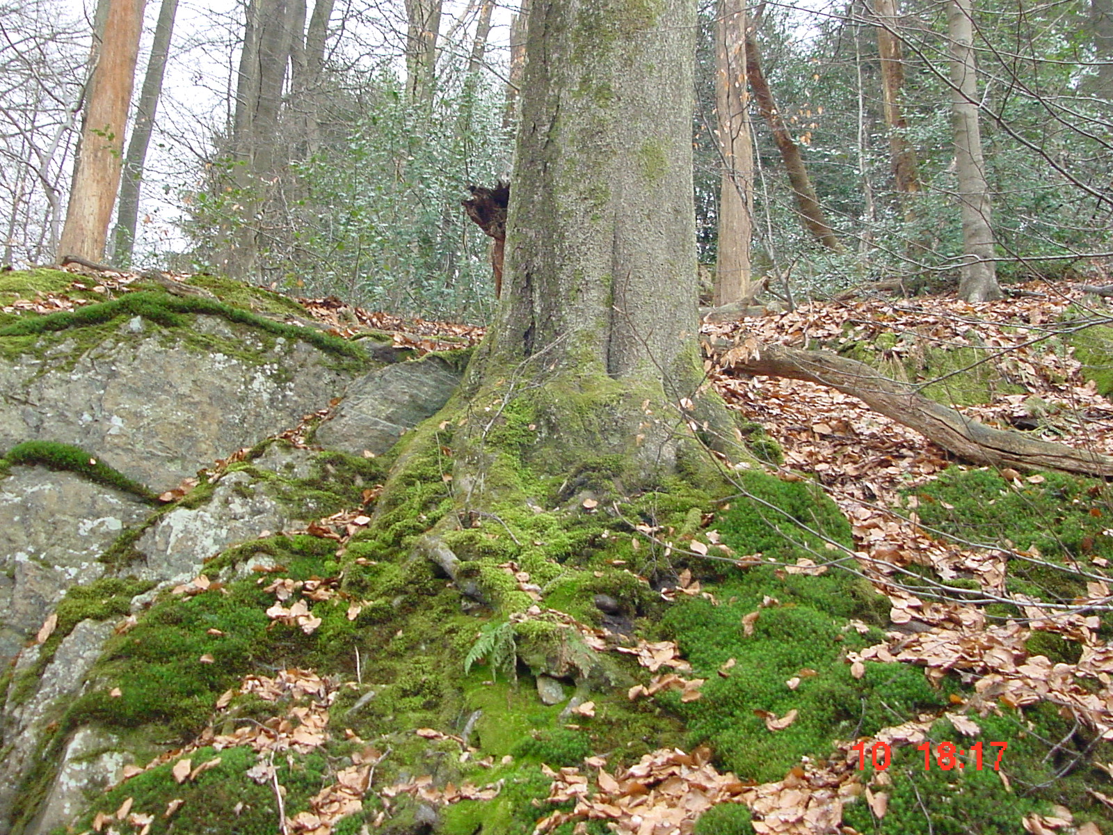 DSC00054.JPG