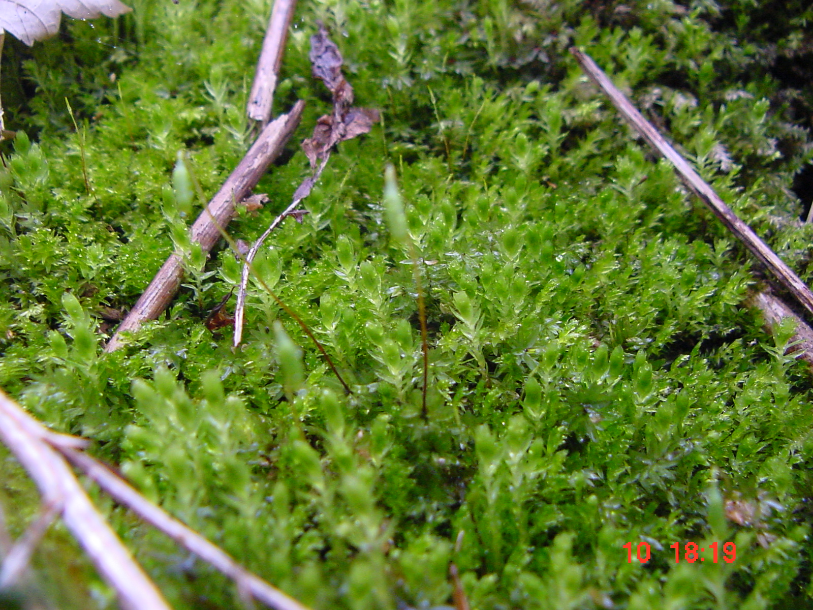 DSC00055.JPG