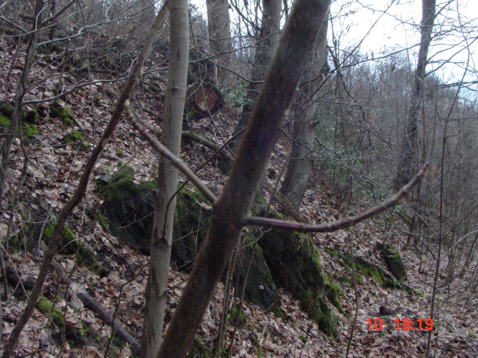 DSC00057.JPG