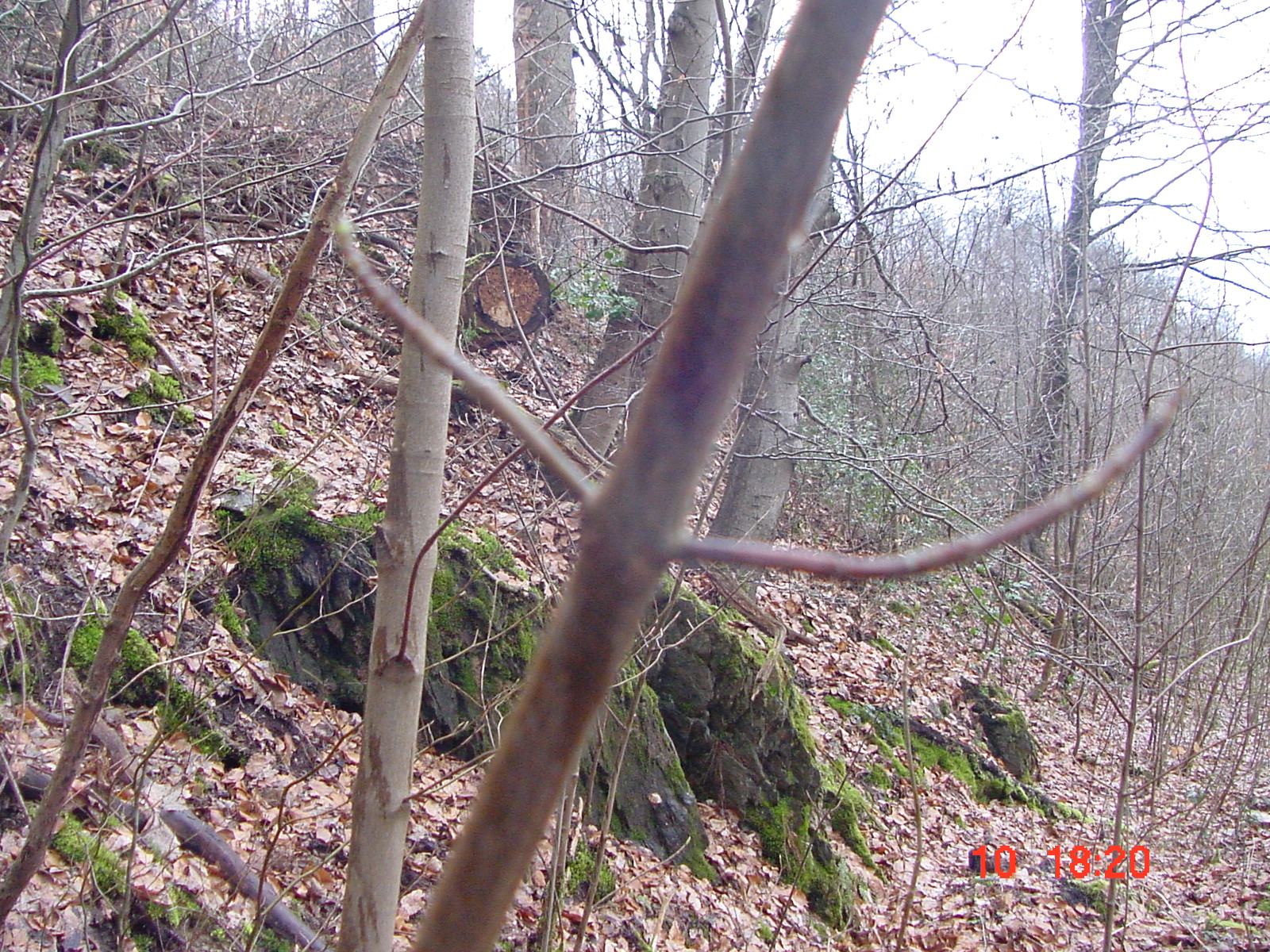 DSC00058.JPG