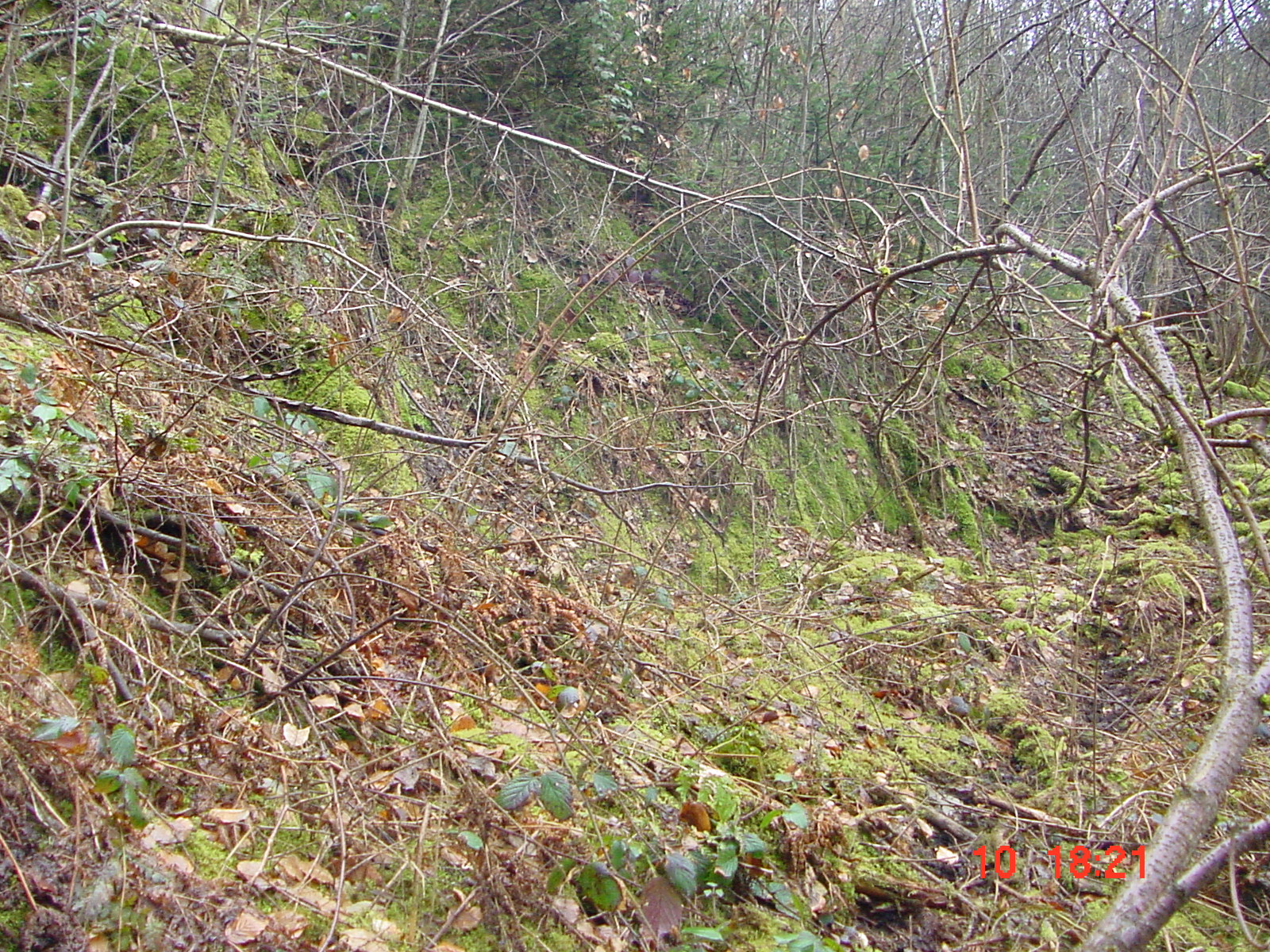 DSC00061.JPG