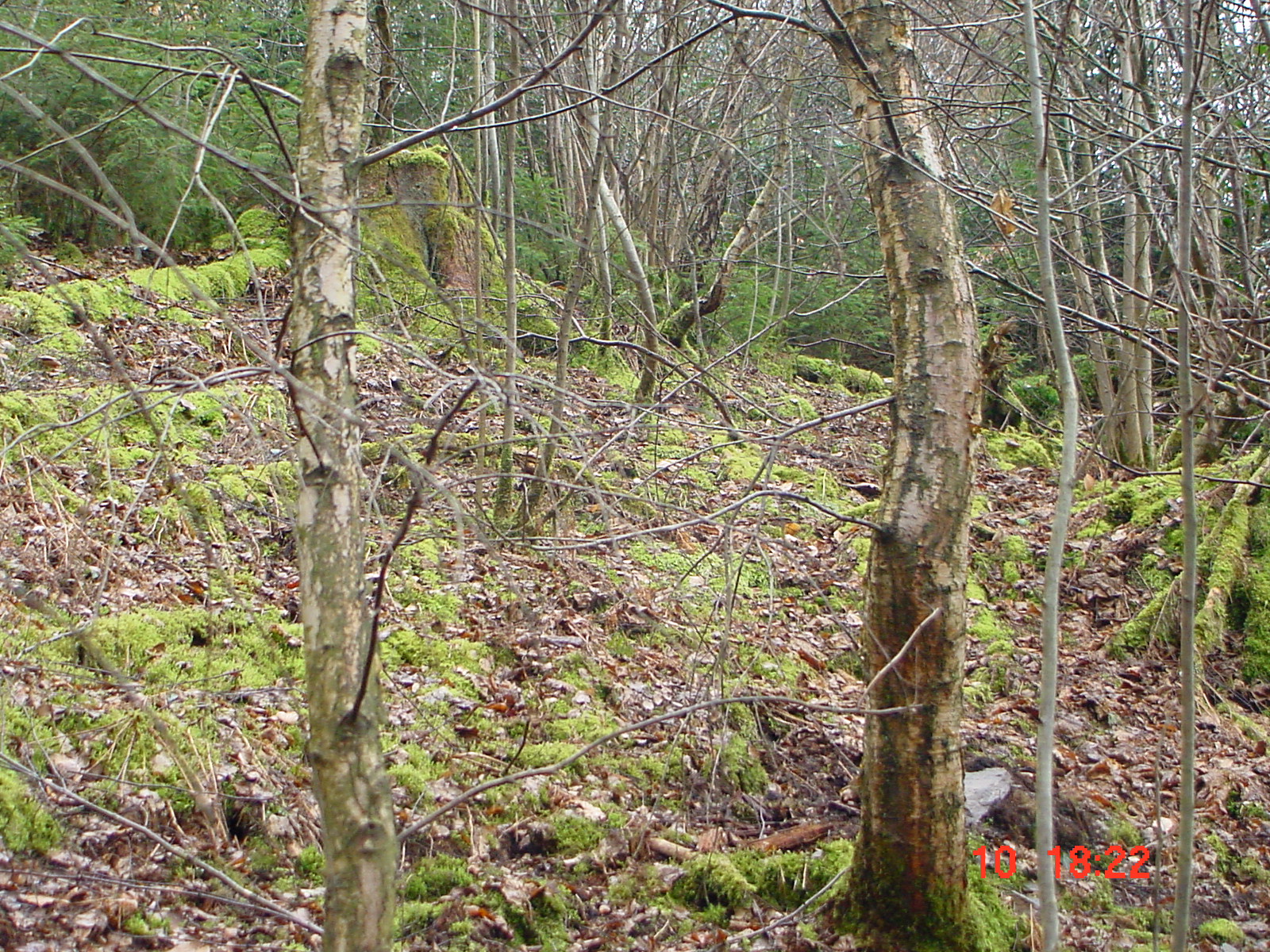 DSC00062.JPG