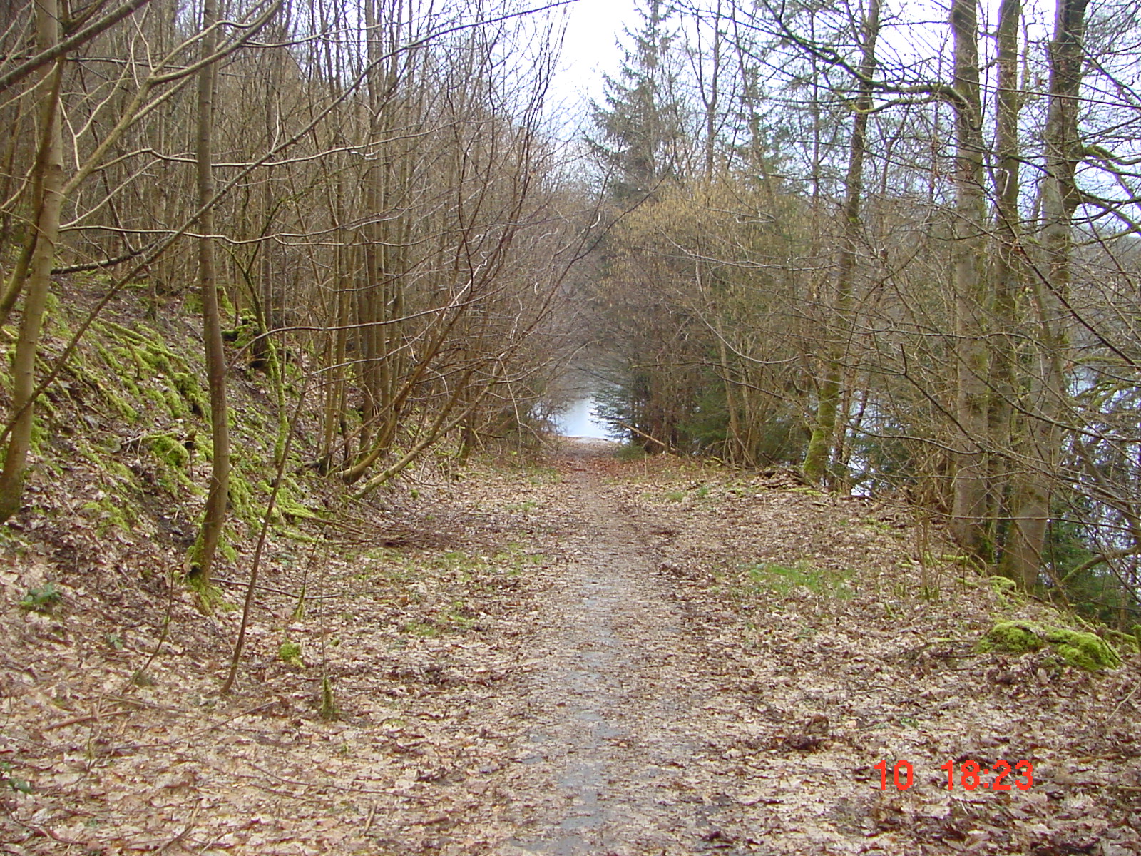 DSC00064.JPG