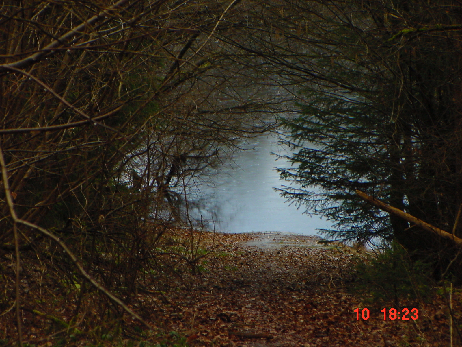DSC00065.JPG