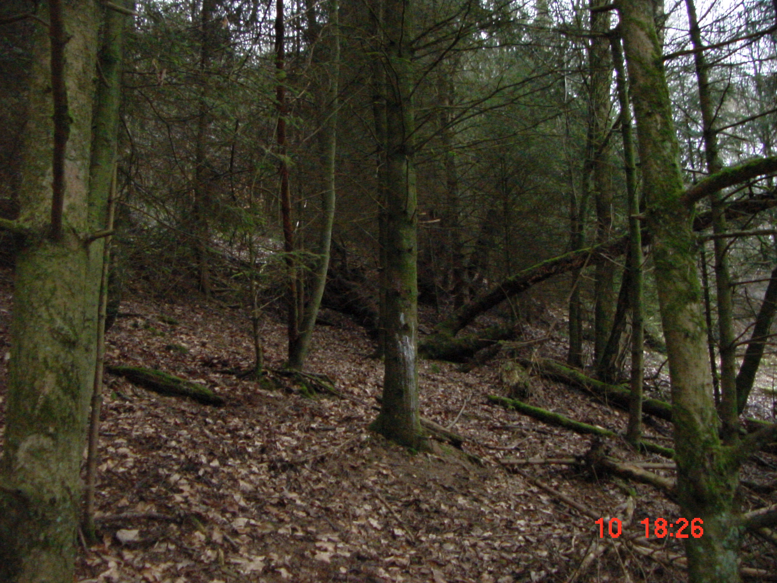 DSC00068.JPG