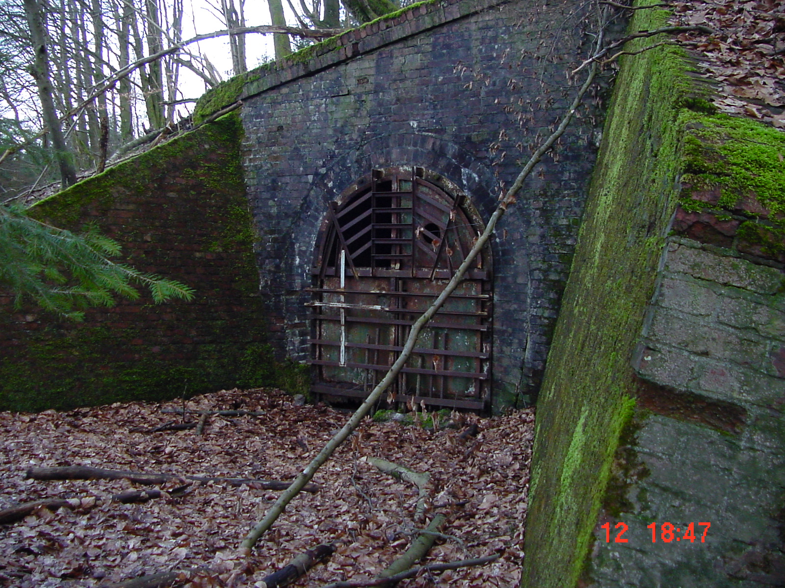 DSC00088.JPG
