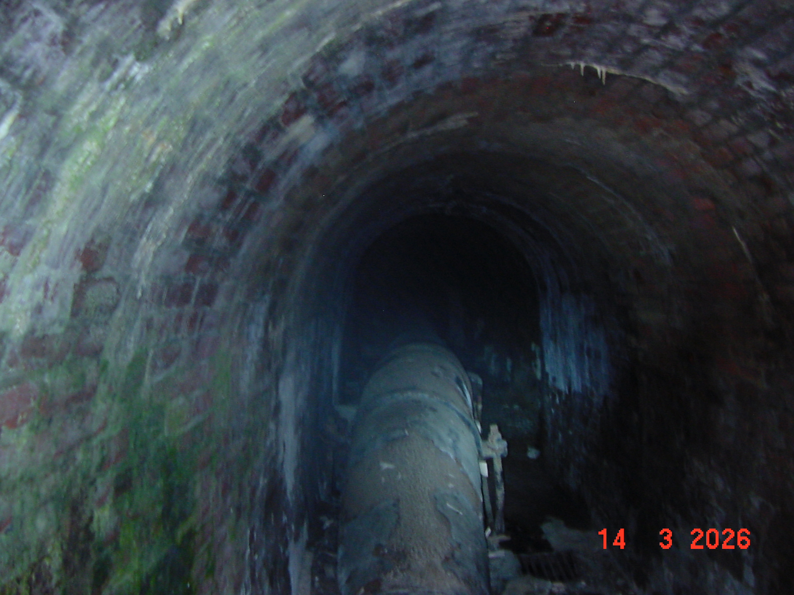 DSC00093.JPG