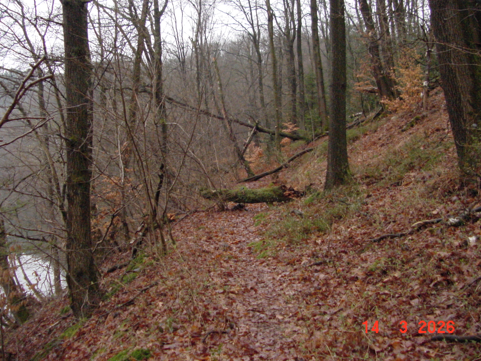 DSC00115.JPG