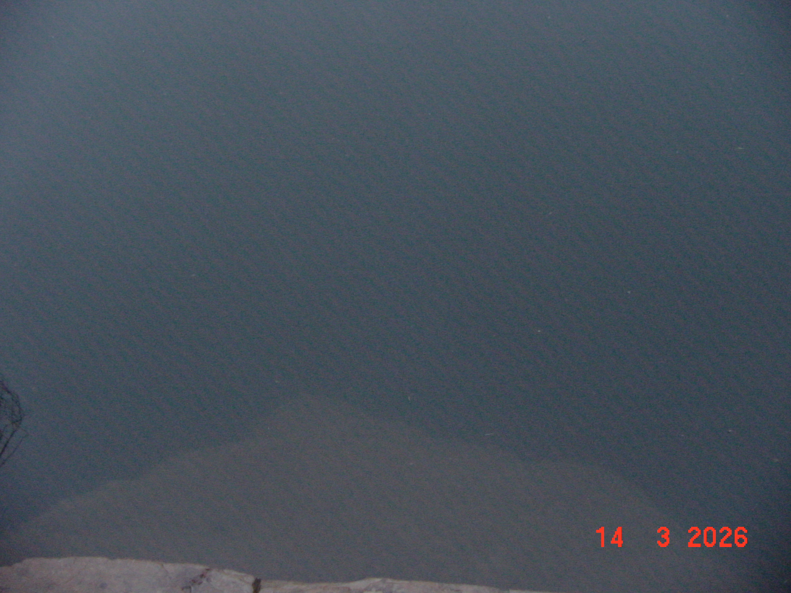 DSC00124.JPG