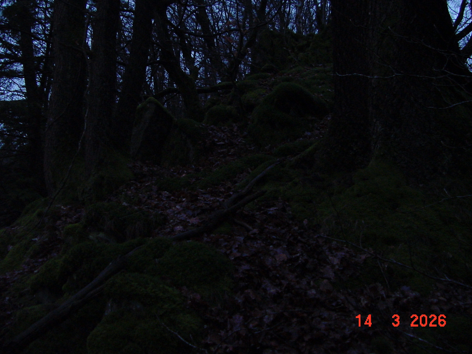 DSC00130.JPG