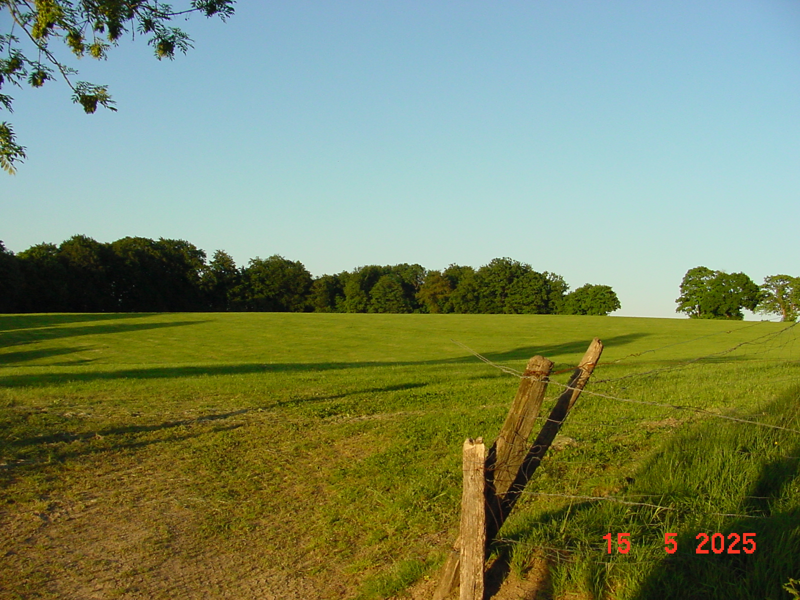 DSC00227.JPG