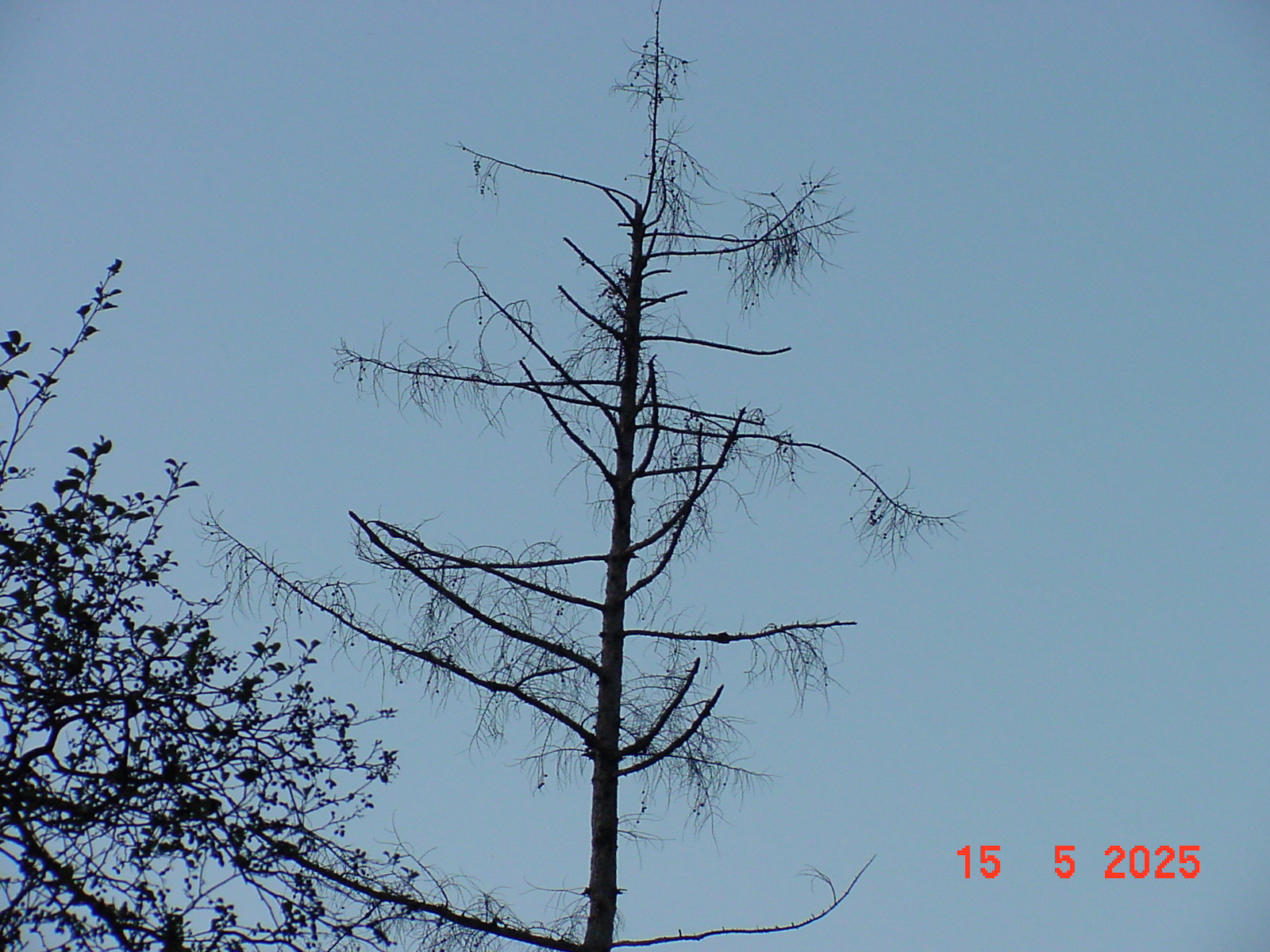 DSC00246.JPG