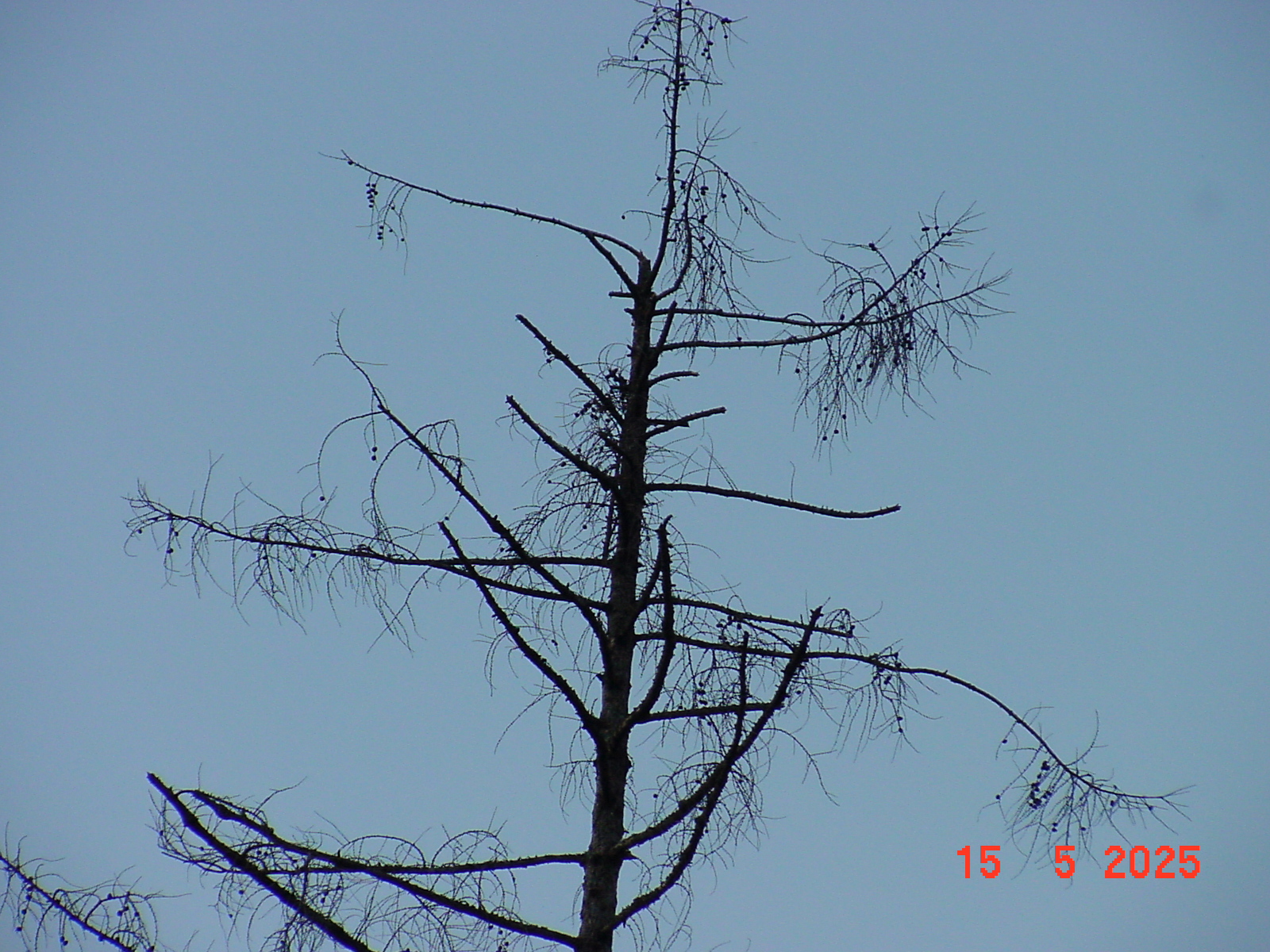 DSC00247.JPG