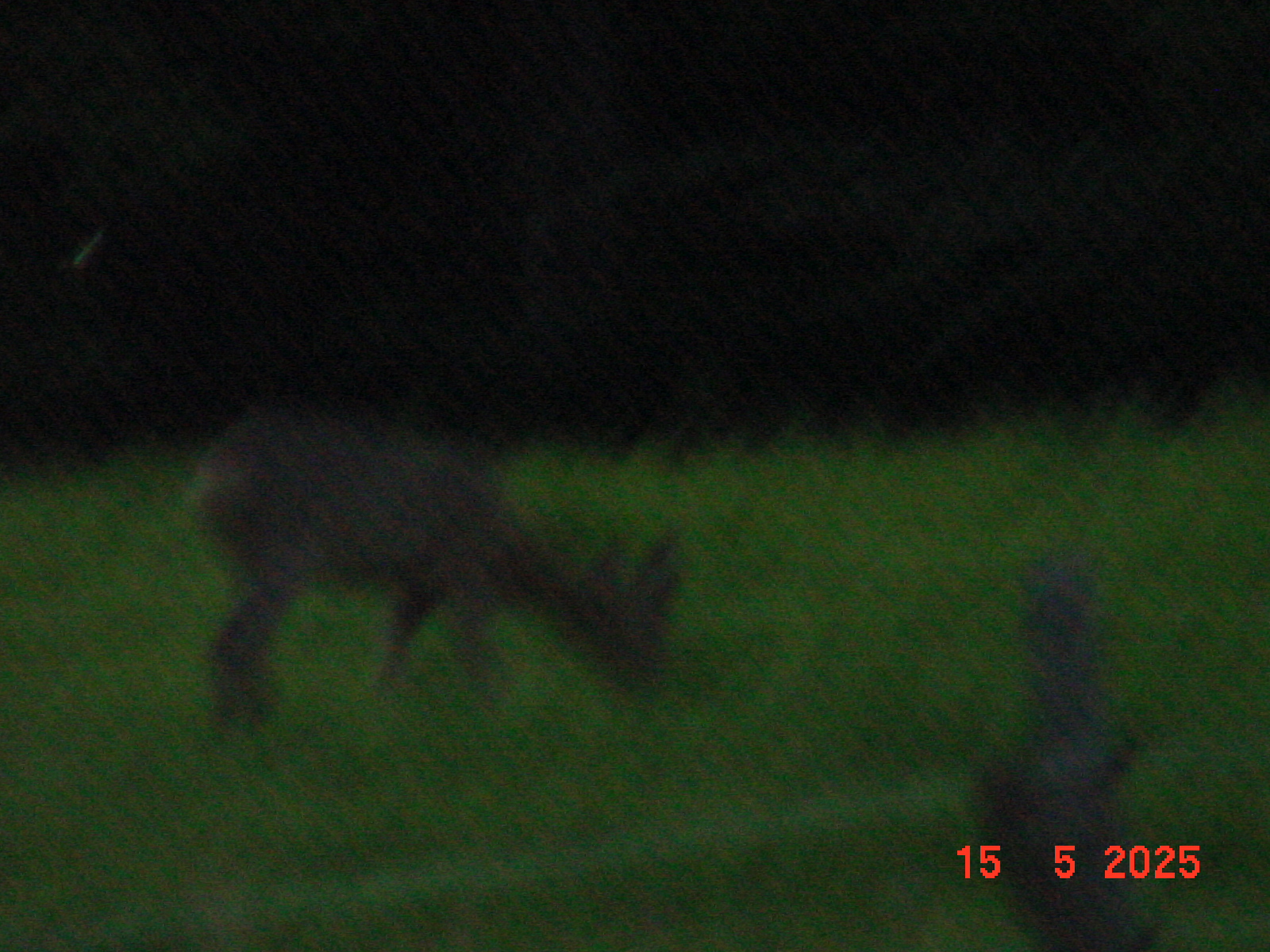DSC00253.JPG