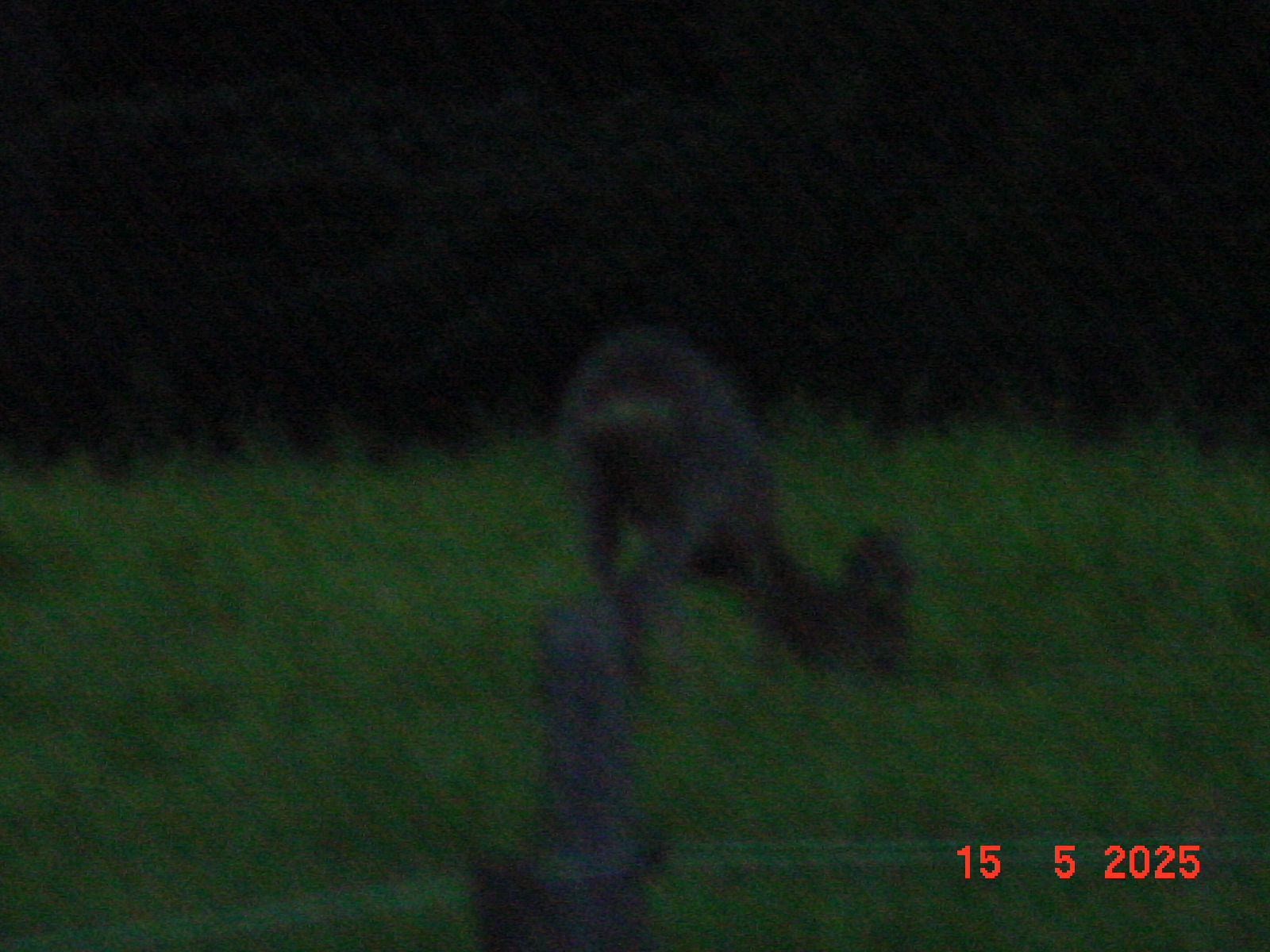 DSC00255.JPG
