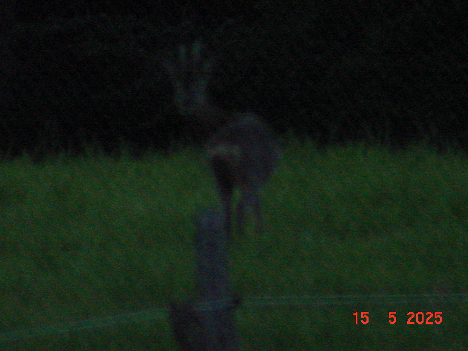DSC00256.JPG