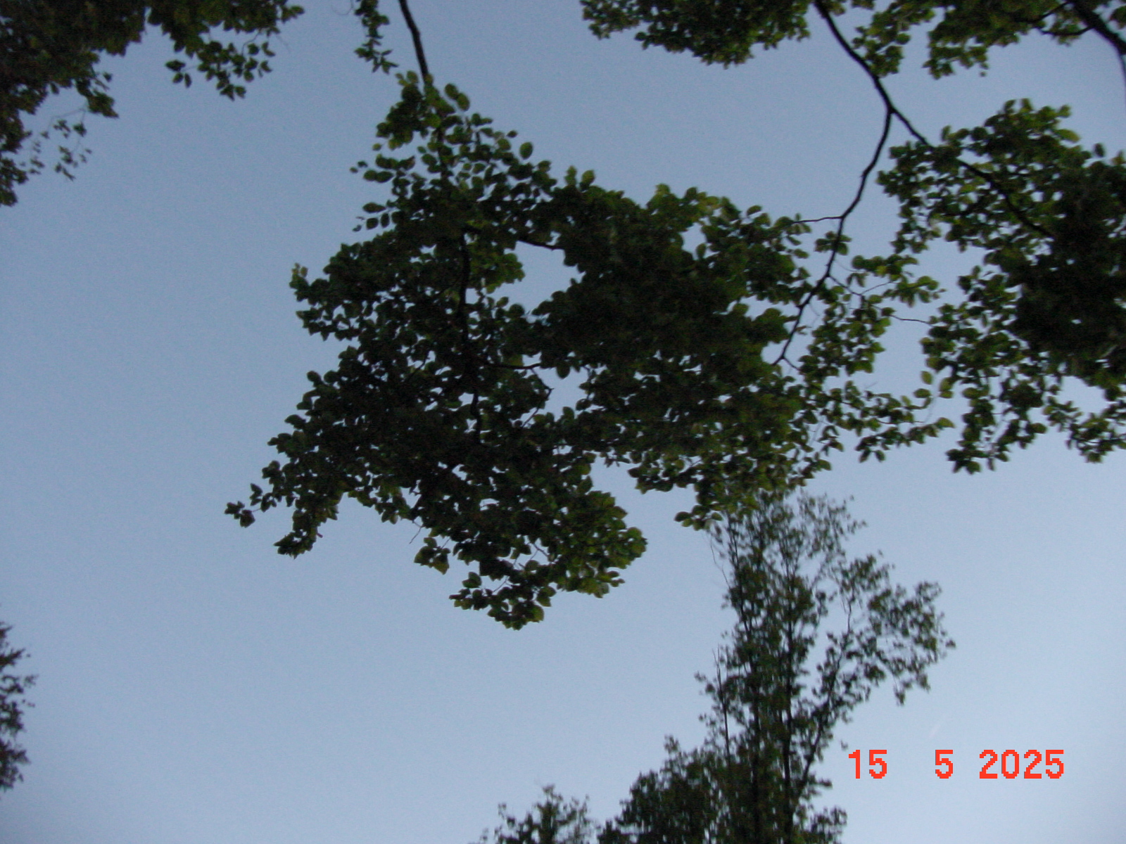 DSC00273.JPG