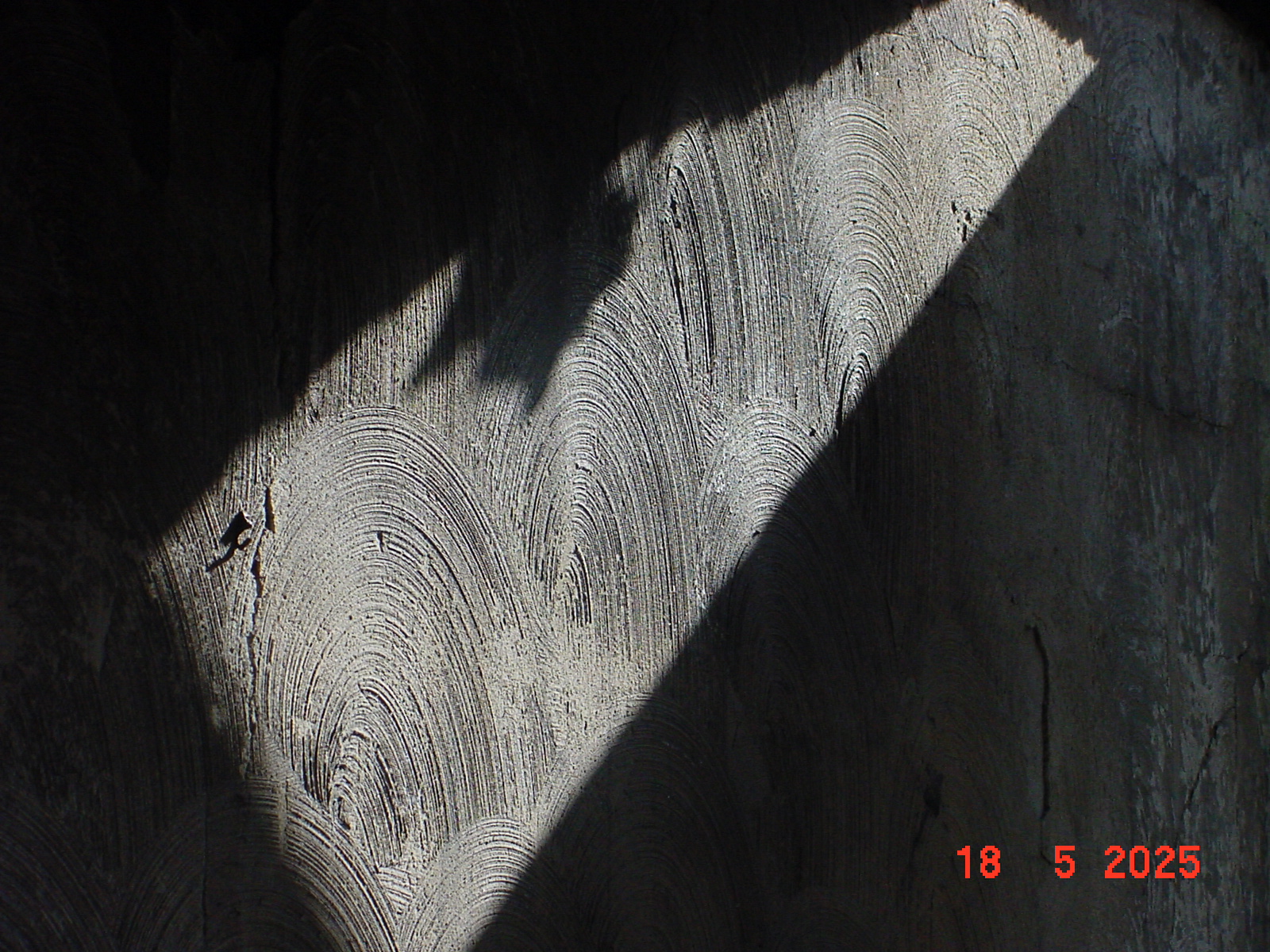 DSC00303.JPG