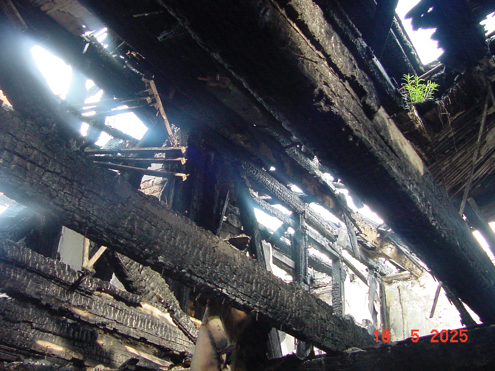 DSC00311.JPG