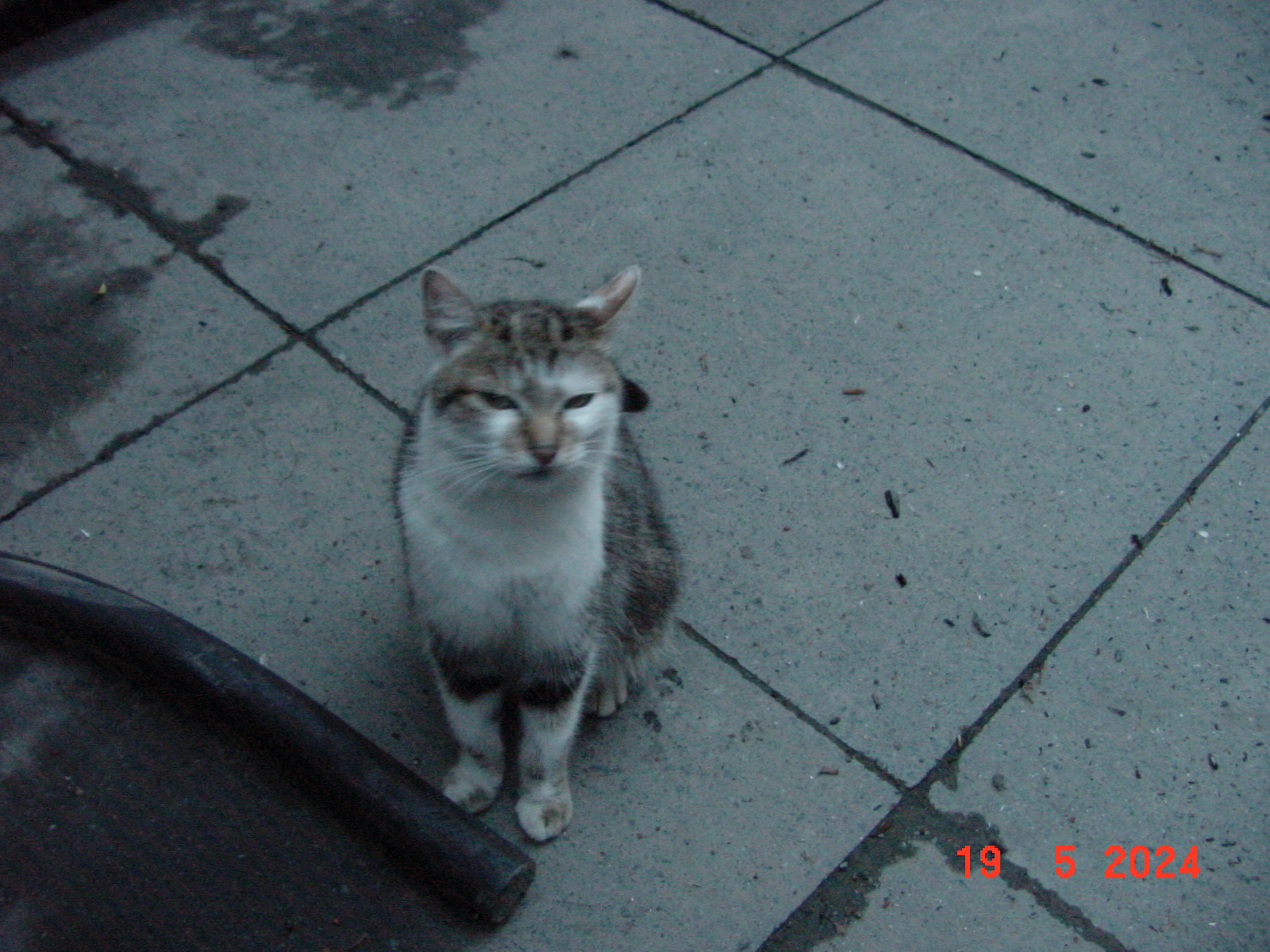 DSC00009.JPG