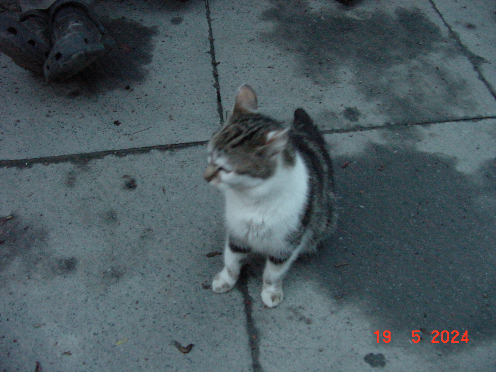 DSC00012.JPG