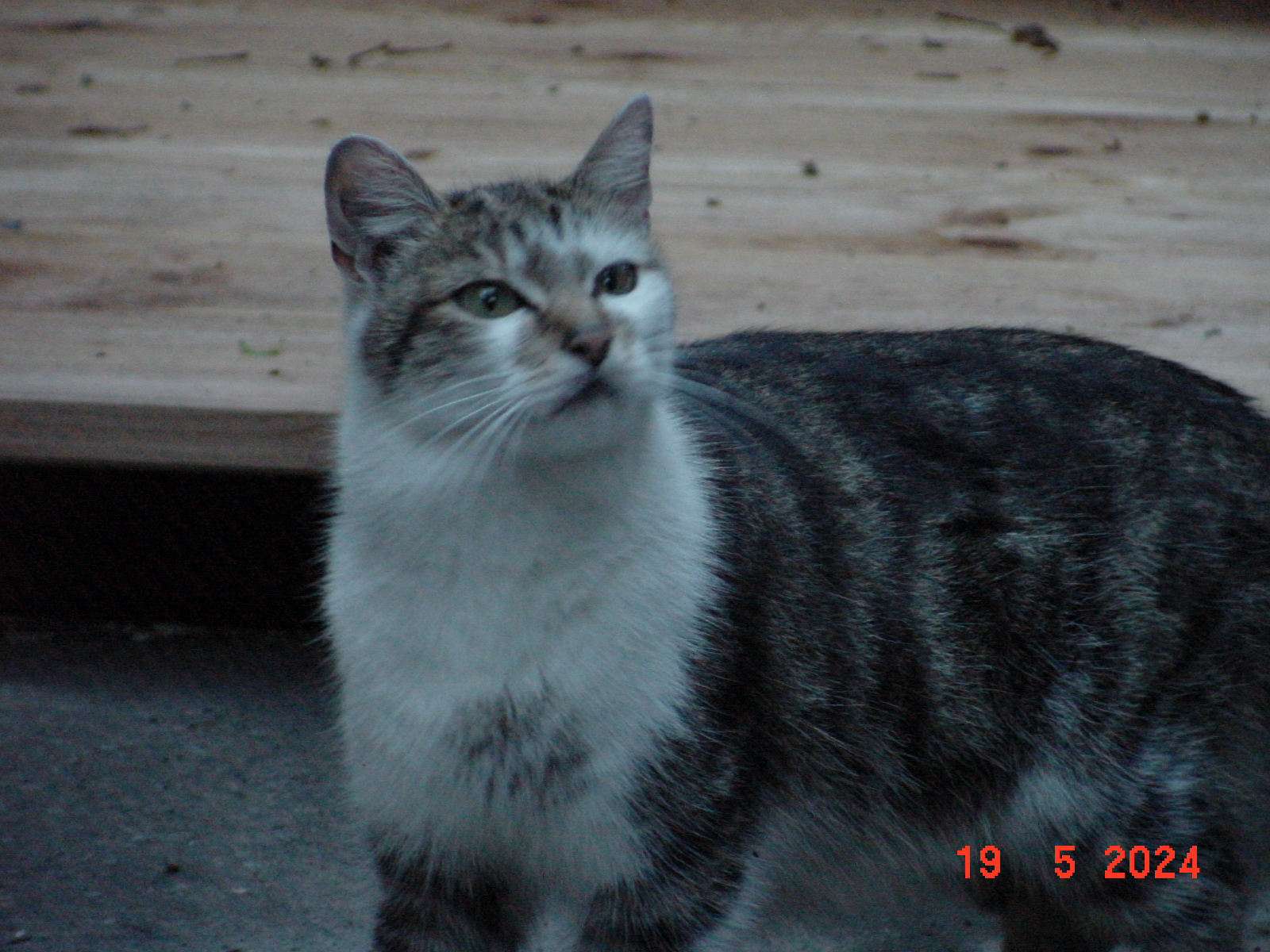 DSC00015.JPG
