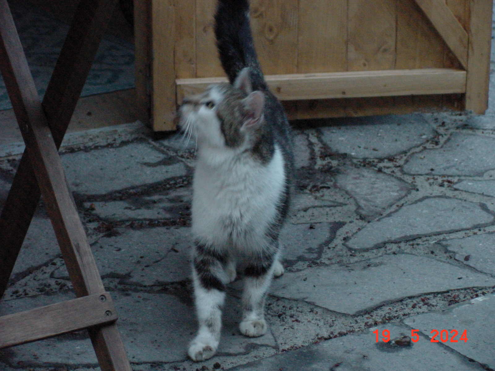 DSC00018.JPG