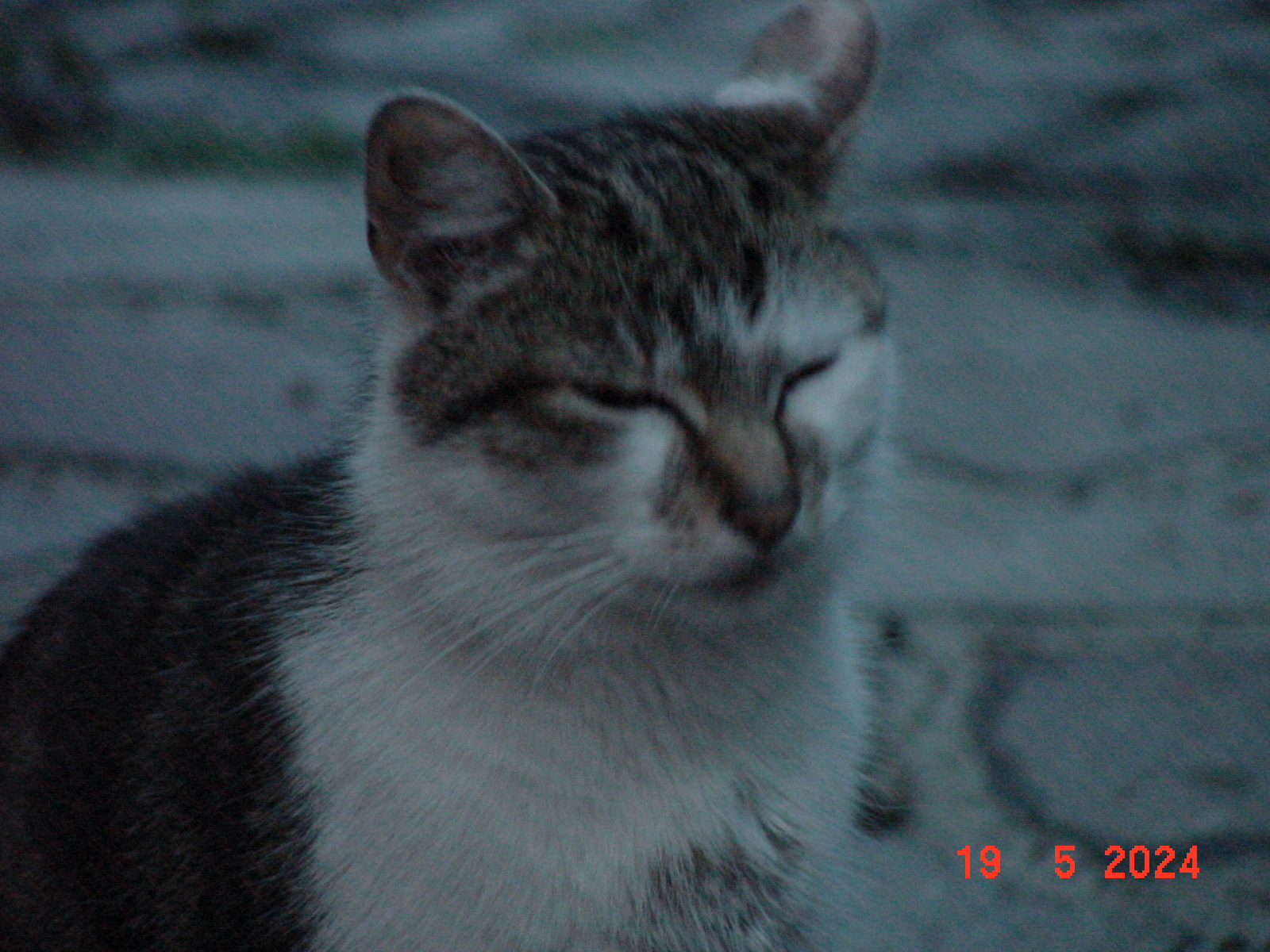 DSC00024.JPG