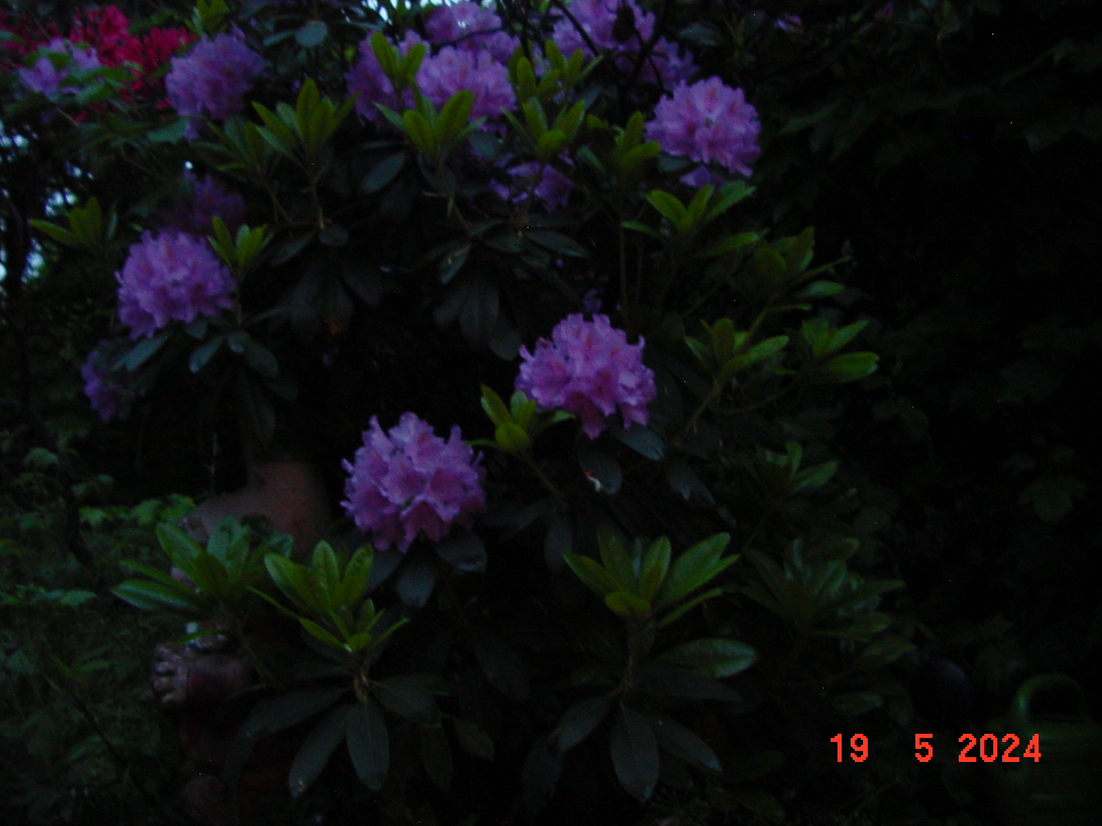 DSC00030.JPG