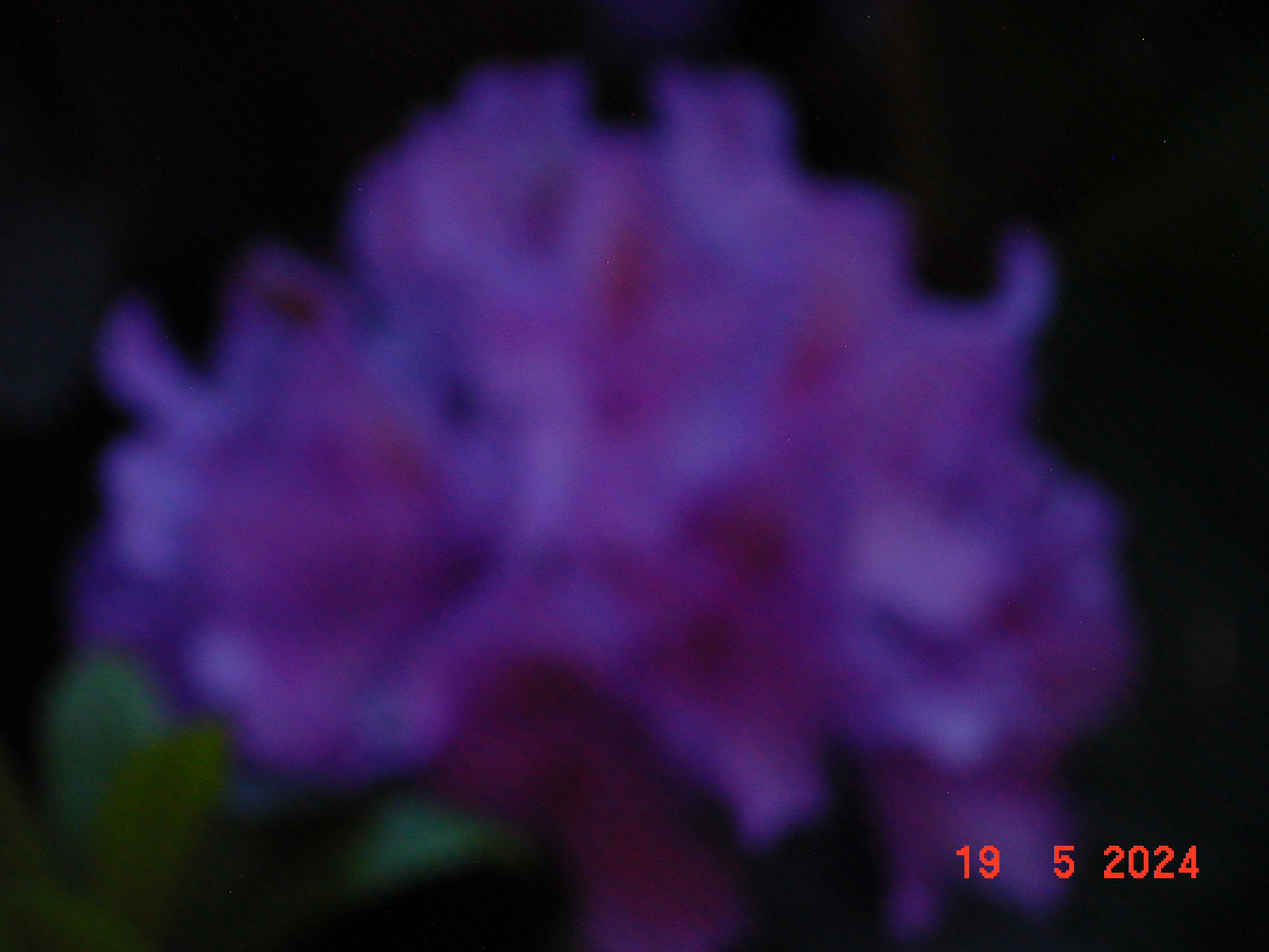DSC00032.JPG