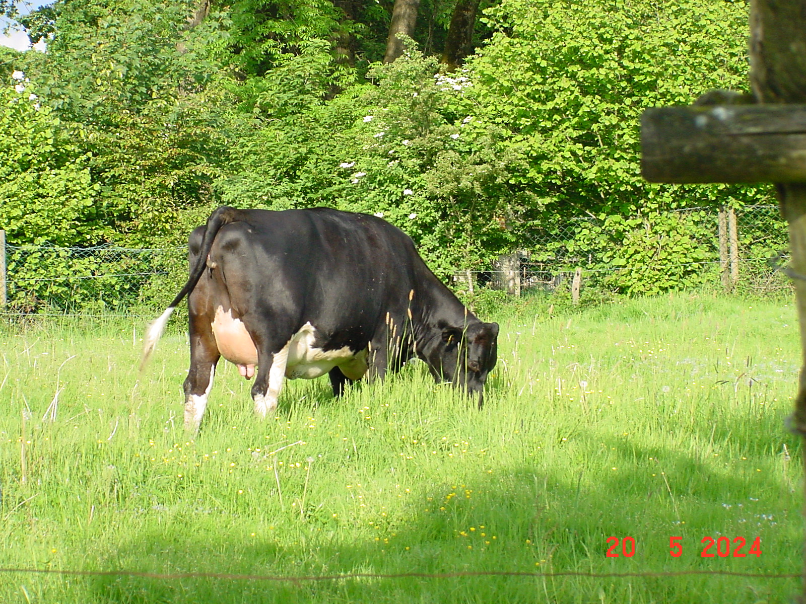 DSC00063.JPG
