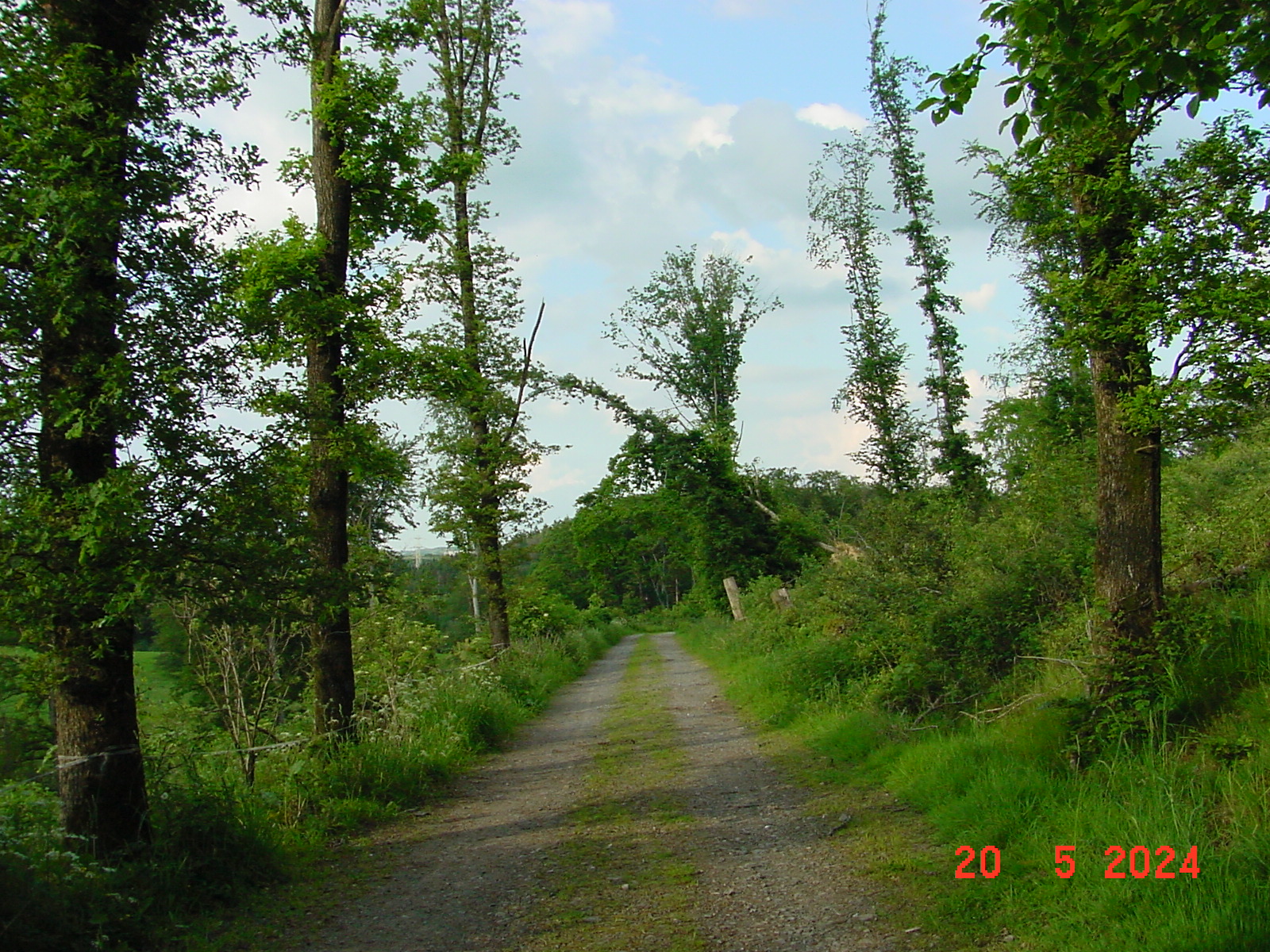 DSC00068.JPG