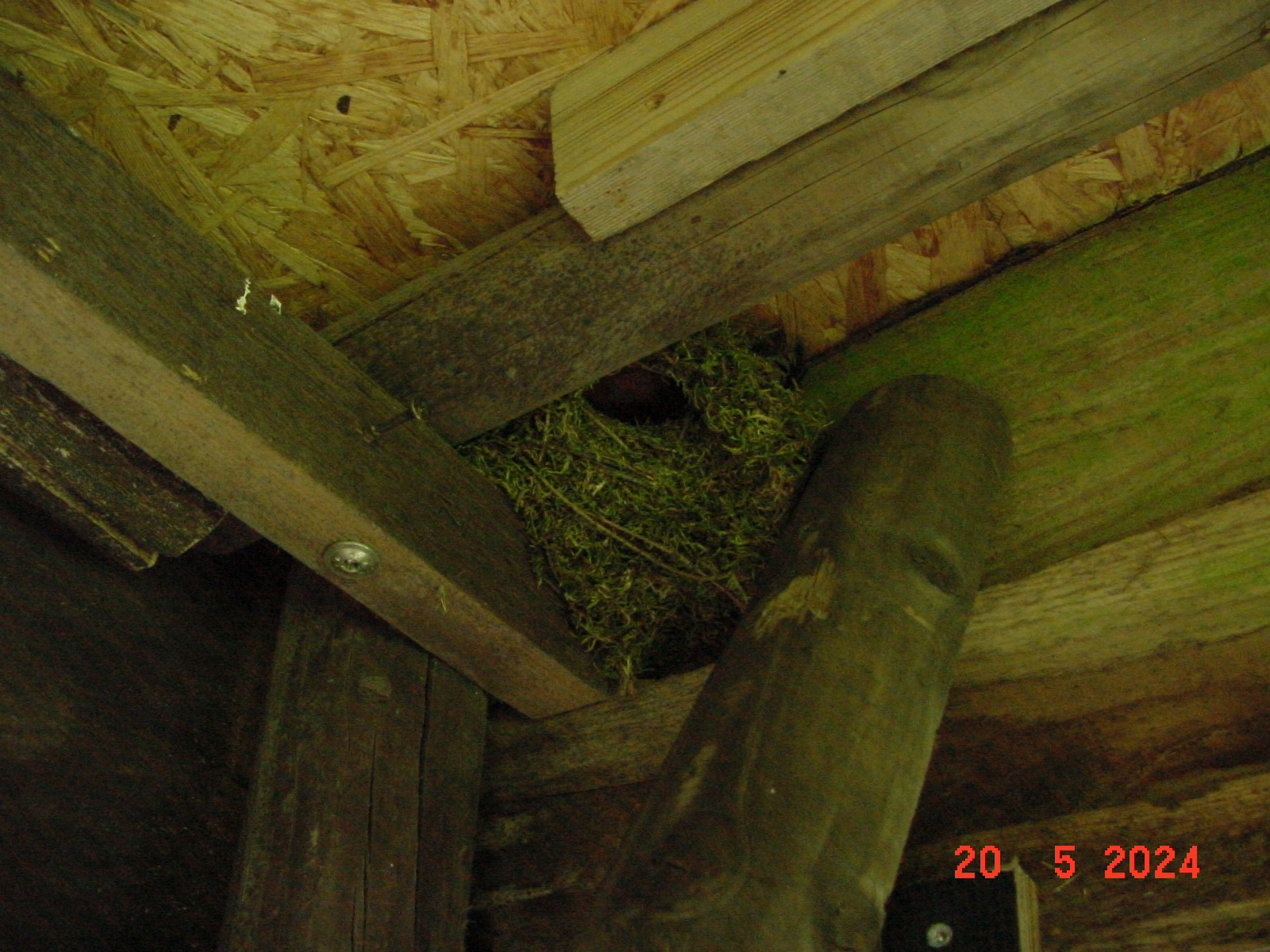 DSC00073.JPG